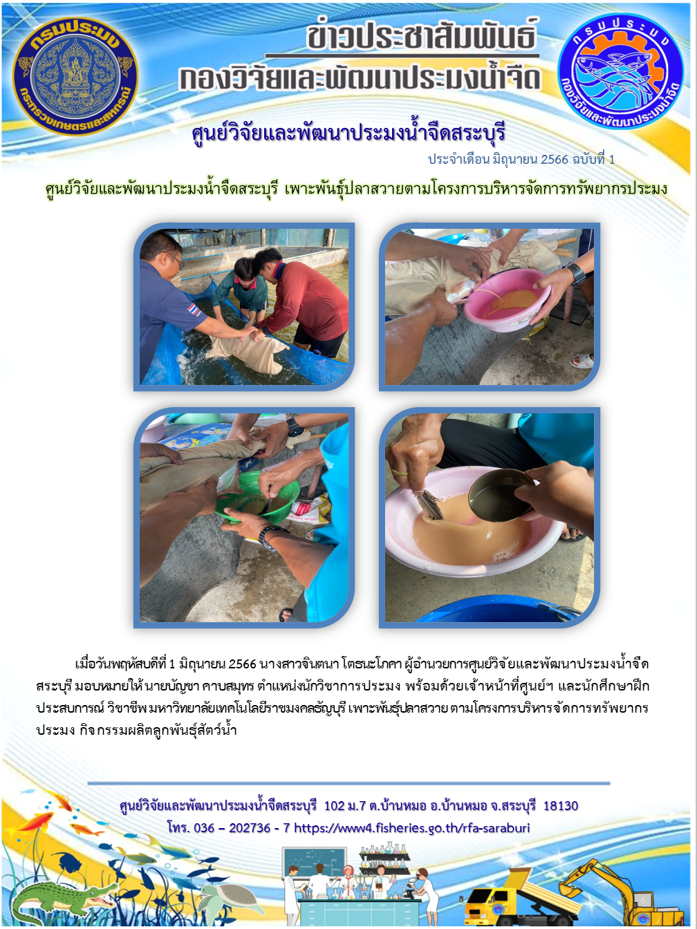 ศูนย์วิจัยและพัฒนาประมงน้ำจืดสระบุรี เพาะพันธุ์ปลาสวายตามโครงการบริหารจัดการทรัพยากรประมง..คลิก