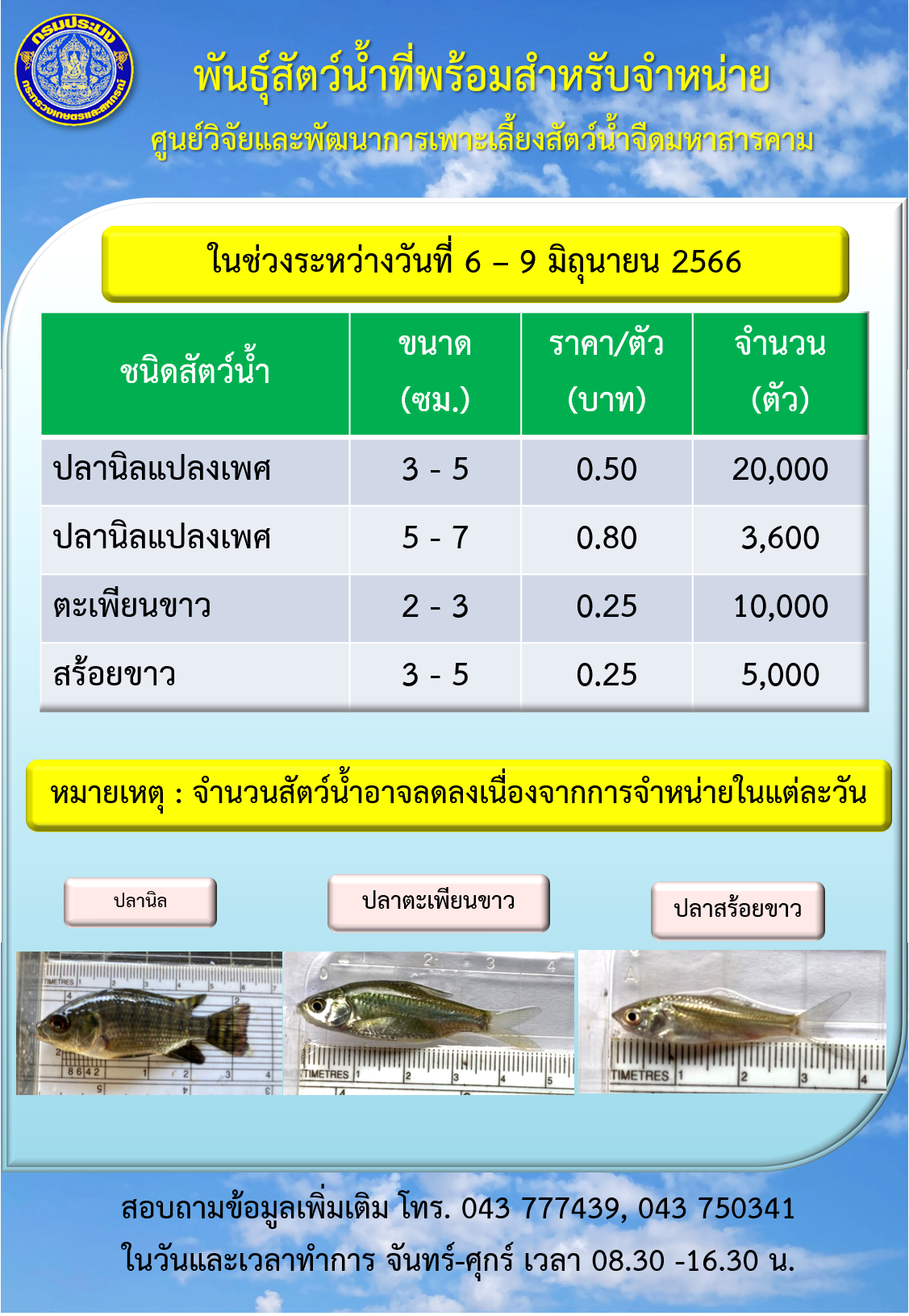 พันธุ์สัตว์น้ำที่พร้อมสำหรับจำหน่าย ระหว่างวันที่ 6 – 9 มิถุนายน 2566..คลิก