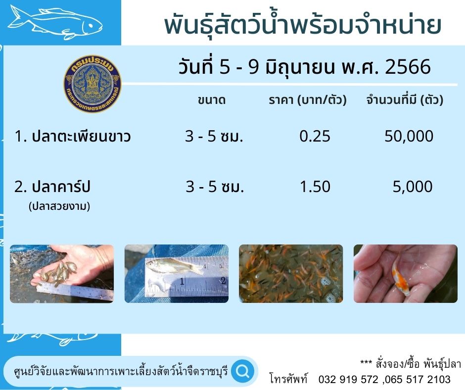 ลูกพันธุ์สัตว์น้ำพร้อมจำหน่าย ประจำวันที่ 5 - 9 มิถุนายน พ.ศ. 2566..คลิก