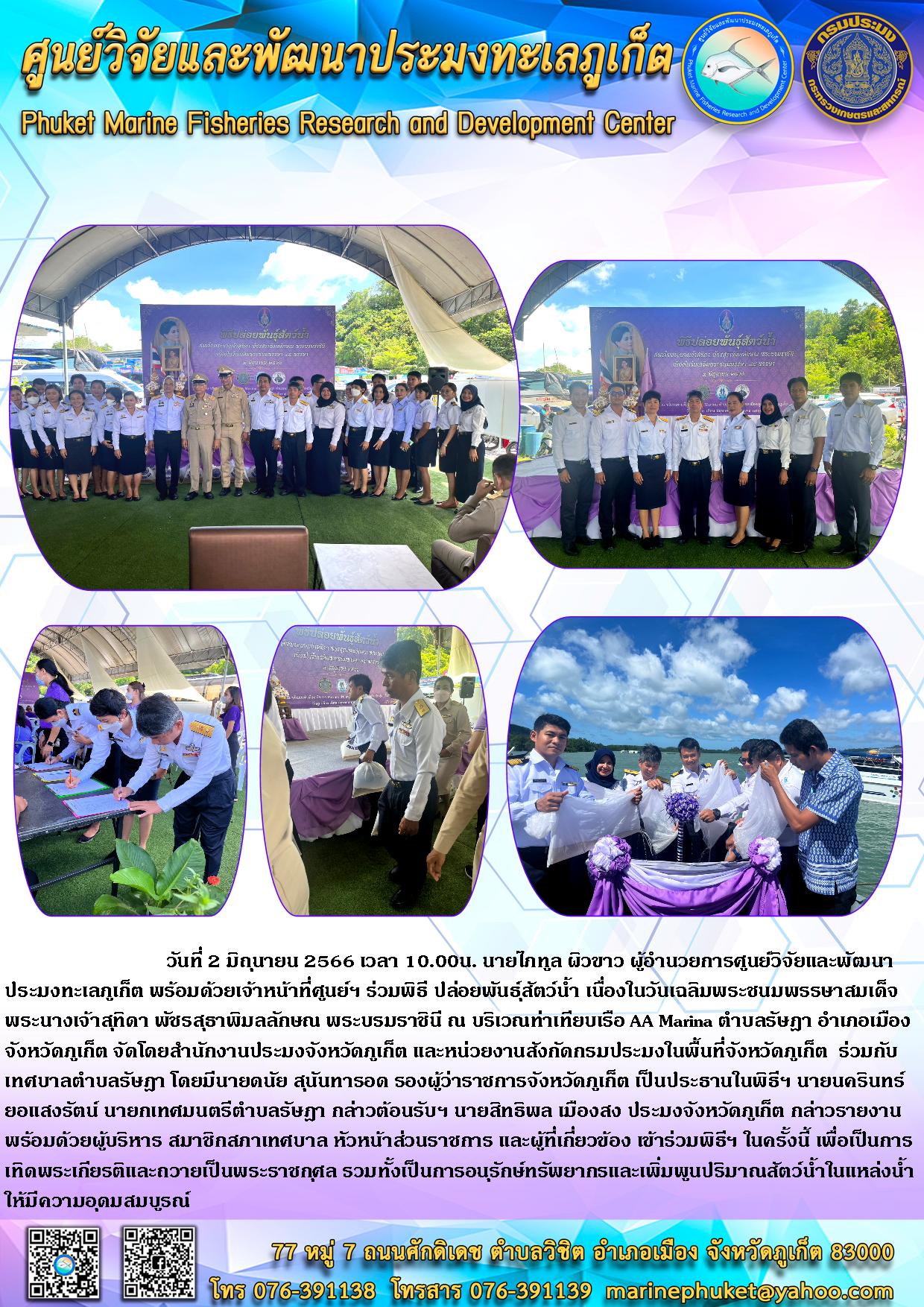 วันที่ 2 มิถุนายน 2566 เวลา 10.00 น. นายไภทูล ผิวขาว ผู้อำนวยการศูนย์วิจัยและพัฒนาประมงทะเลภูเก็ต พร้อมด้วยเจ้าหน้าที่ศูนย์ฯ ร่วมพิธี ปล่อยพันธุ์สัตว์น้ำ เนื่องในวันเฉลิมพระชนมพรรษาสมเด็จพระนางเจ้าสุทิดา พัชรสุธาพิมลลักษณ พระบรมราชินี ณ บริเวณท่าเทียบเรือ AA Marina ตำบลรัษฎา อำเภอเมือง จังหวัดภูเก็ต จัดโดยสำนักงานประมงจังหวัดภูเก็ต และหน่วยงานสังกัดกรมประมงในพื้นที่จังหวัดภูเก็ต รวมกับเทศบาลตำบลราฎา โดยมีนายดนัย สุนันทารอด รองผู้ว่าราชการจังหวัดภูเก็ต เป็นประธานในพิธีฯ นายนครินทร์ ยอแสงรัตน์ นายกเทศมนตรีตำบลรัษฎา กล่าวต้อนรับฯ นายสิทธิพล เมืองสง ประมงจังหวัดภูเก็ต กล่าวรายงานพร้อมด้วยผู้บริหาร สมาชิกสภาเทศบาล หัวหน้าส่วนราชการ และผู้ที่เกี่ยวข้อง เข้าร่วมพิธีฯ ในครั้งนี้ เพื่อเป็นการเทิดพระเกียรติถวายเป็นพระราชกุศล รวมทั้งเป็นการอนุรักษ์ทรัพยากรและเพิ่มพูนปริมาณสัตว์น้ำในแหล่งน้ำให้มีความอุดมสมบูรณ์..คลิก