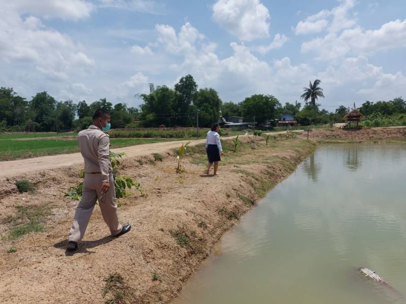 ประมงอำเภอเก้าเลี้ยว เข้าร่วมจัดสถานที่ ในการประกวดหมู่บ้านอยู่เย็น ในพื้น 8 ต.หนองเต่า อ.เก้าเลี้ยว..คลิก