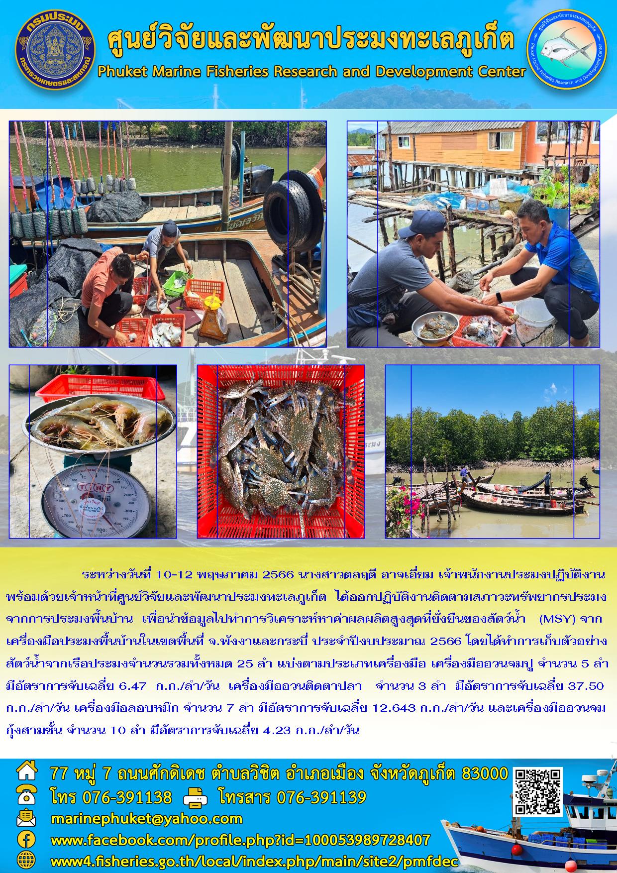 ระหว่างวันที่ 10-12 พฤษภาคม 2566 นางสาวดลฤดี อาจเอี่ยม เจ้าพนักงานประมงปฏิบัติงานพร้อมด้วยเจ้าหน้าที่ศูนย์วิจัยและพัฒนาประมงทะเลภูเก็ต ได้ออกปฏิบัติงานติดตามสภาวะทรัพยากรประมงจากการประมงพื้นบ้าน เพื่อนำข้อมูลไปทำการวิเคราะห์หาค่าผลผลิตสูงสุดที่ยั่งยืนของสัตว์น้ำ (MSY) จากเครื่องมือประมงพื้นบ้านในเขตพื้นที่ จ.พังงาและกระบี่ ประจำปีงบประมาณ 2566 โดยได้ทำการเก็บตัวอย่างสัตว์น้ำจากเรือประมงจำนวนรวมทั้งหมด 25 ลำ แบ่งตามประเภทเครื่องมือ เครื่องมืออวนจมปู จำนวน 5 ลำ มีอัตราการจับเฉลี่ย 6.47 กก./ลำ/วัน เครื่องมืออวนติดตาปลา จำนวน 3 ลำ มีอัตราการจับเฉลี่ย 37.50 กก./ลำ/วัน เครื่องมือลอบหมึก จำนวน 7 ลำ มีอัตราการจับเฉลี่ย 12.643 กก./ลำ/วัน และเครื่องมืออวนจมกุ้งสามชั้น จำนวน 10 ลำ มีอัตราการจับเฉลี่ย 4.23 กก./ลำ/วัน..คลิก