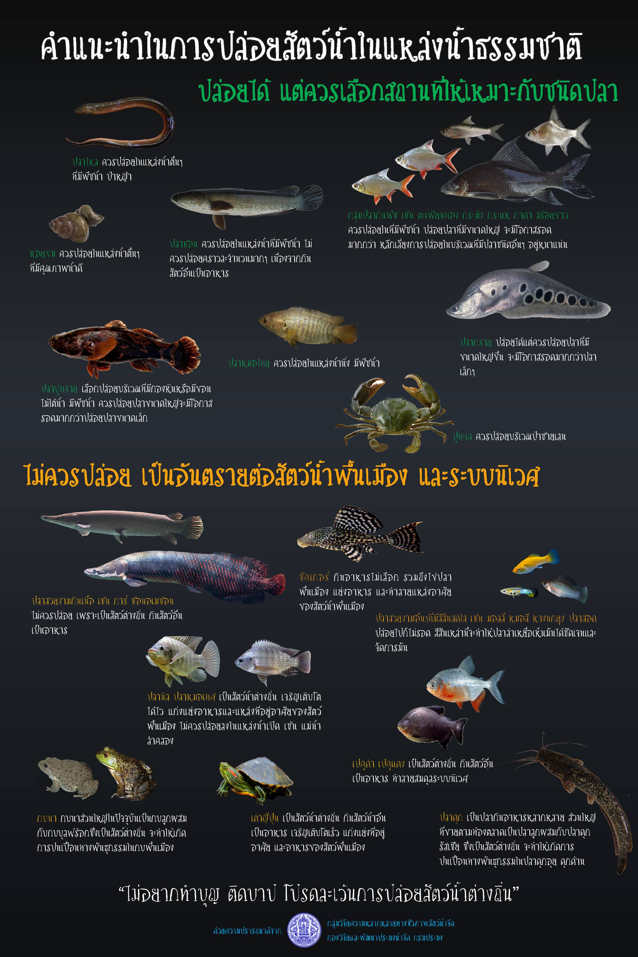 คำแนะนำในการปล่อยสัตว์น้ำในแหล่งน้ำธรรมชาติ..คลิก