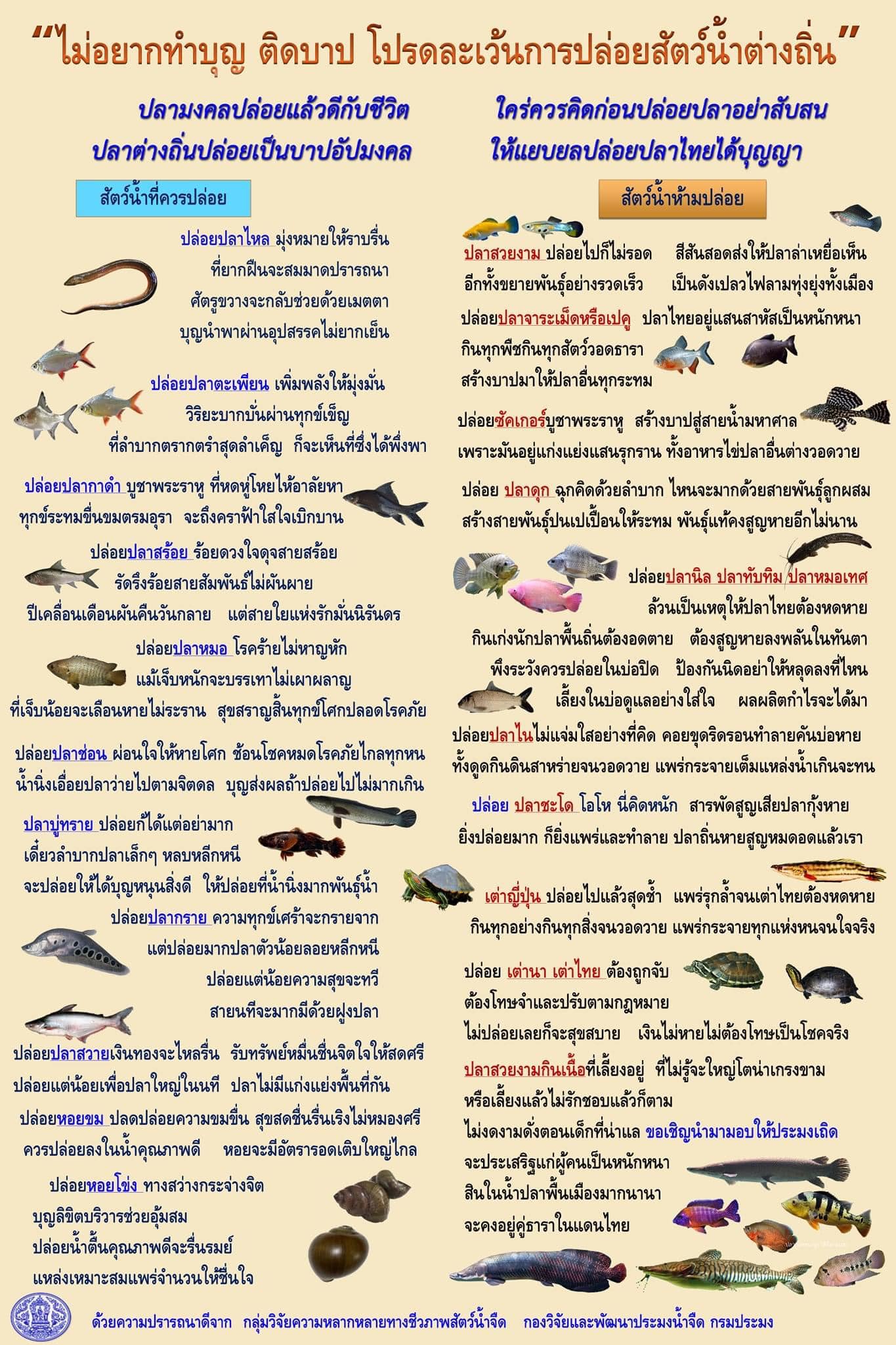 ปล่อยปลาให้ได้บุญ