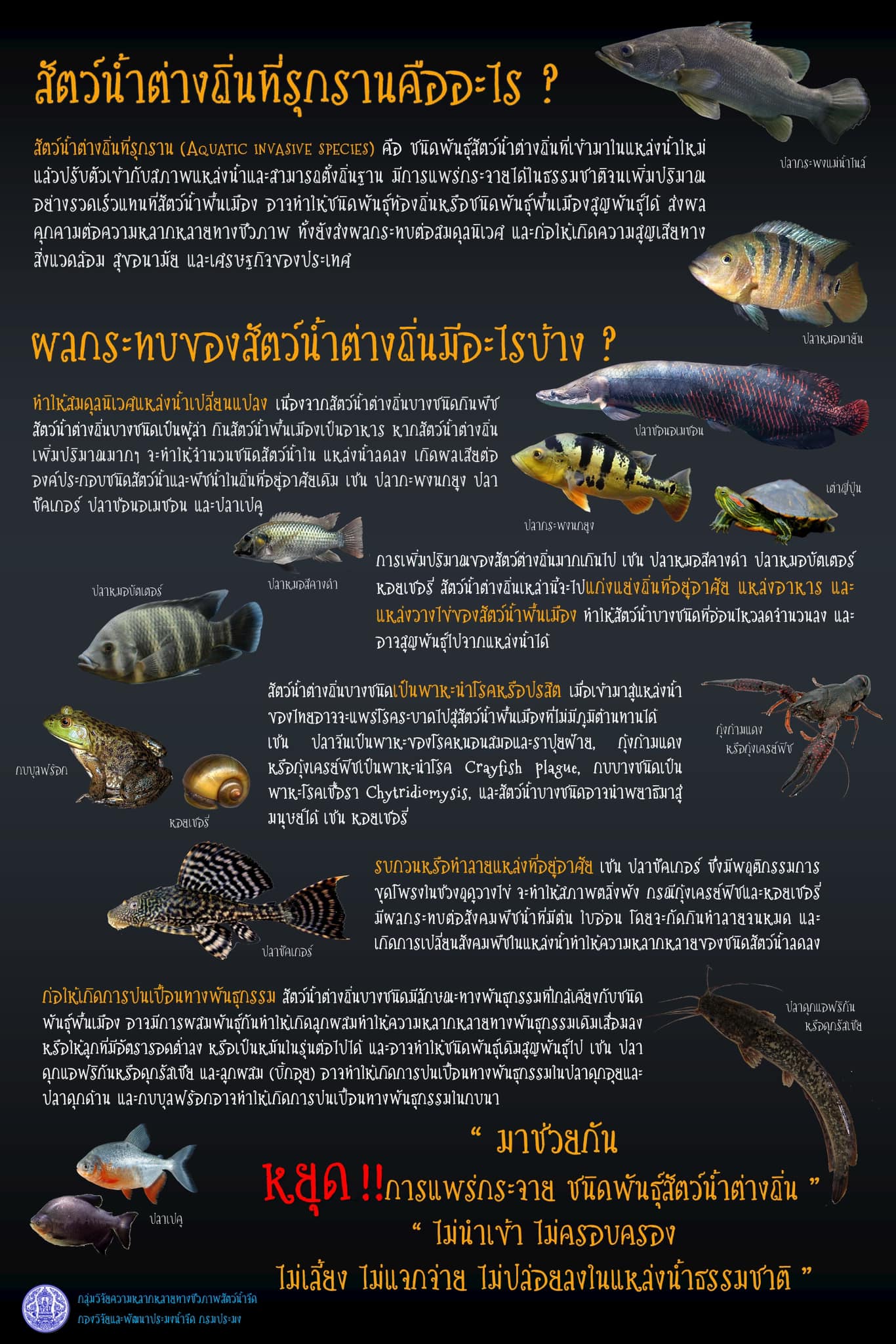 ปล่อยปลาให้ได้บุญ..คลิก