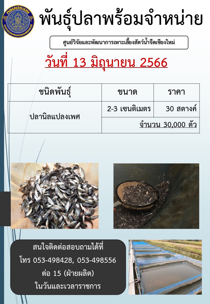 จำหน่ายพันธุ์ปลา วันที่ 13 มิถุนายน 2566