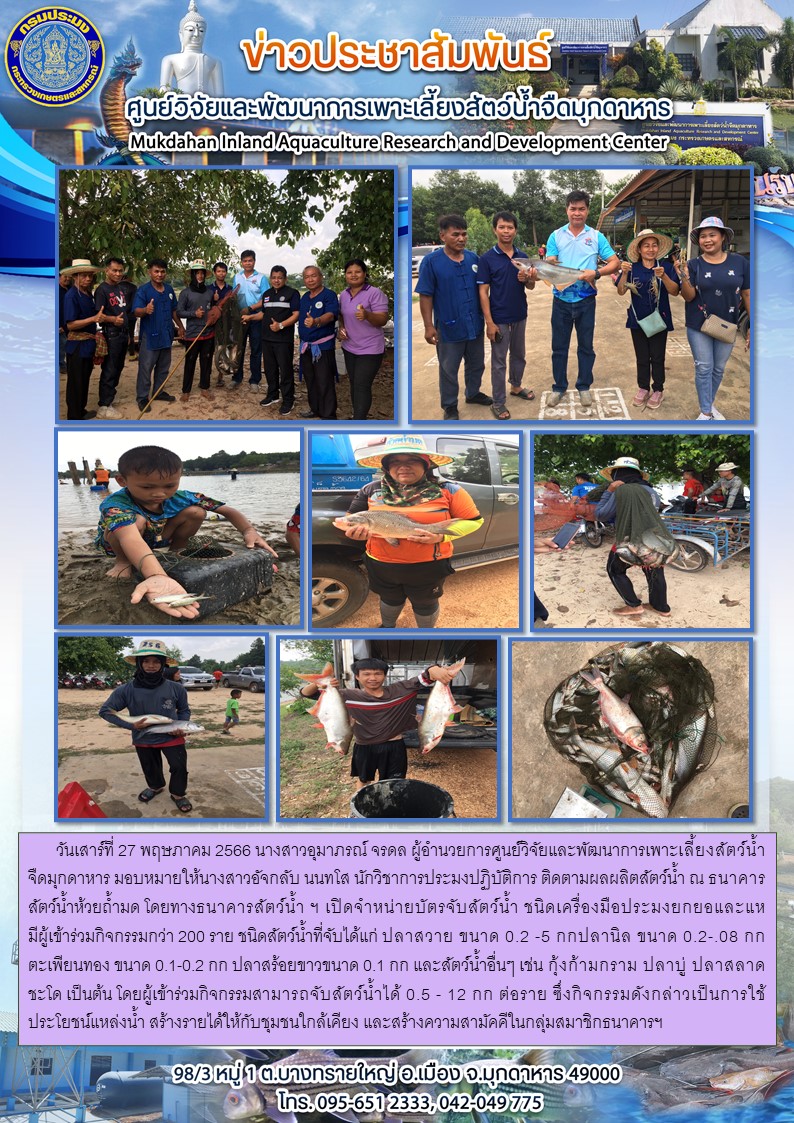 ปฏิบัติการ ติดตามผลผลิตสัตว์น้ำ ณ ธนาคารสัตว์น้ำห้วยถ้ำมด โดยทางธนาคารสัตว์น้ำ ฯ เปิดจำหน่ายบัตรจับสัตว์น้ำ ชนิดเครื่องมือประมงยกยอและแห มีผู้เข้าร่วมกิจกรรมกว่า 200 ราย วันเสาร์ที่ 27 พฤษภาคม 2566..คลิก