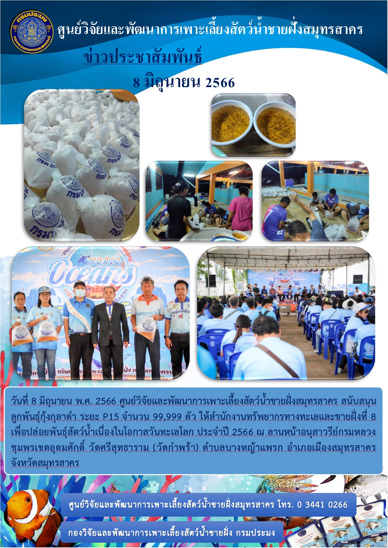 ศูนย์วิจัยและพัฒนาการเพาะเลี้ยงสัตว์น้ำชายฝั่งสมุทรสาคร สนับสนุนลูกพันธุ์กุ้งกุลาดำ ระยะ P15 จำนวน 99,999 ตัว..คลิก