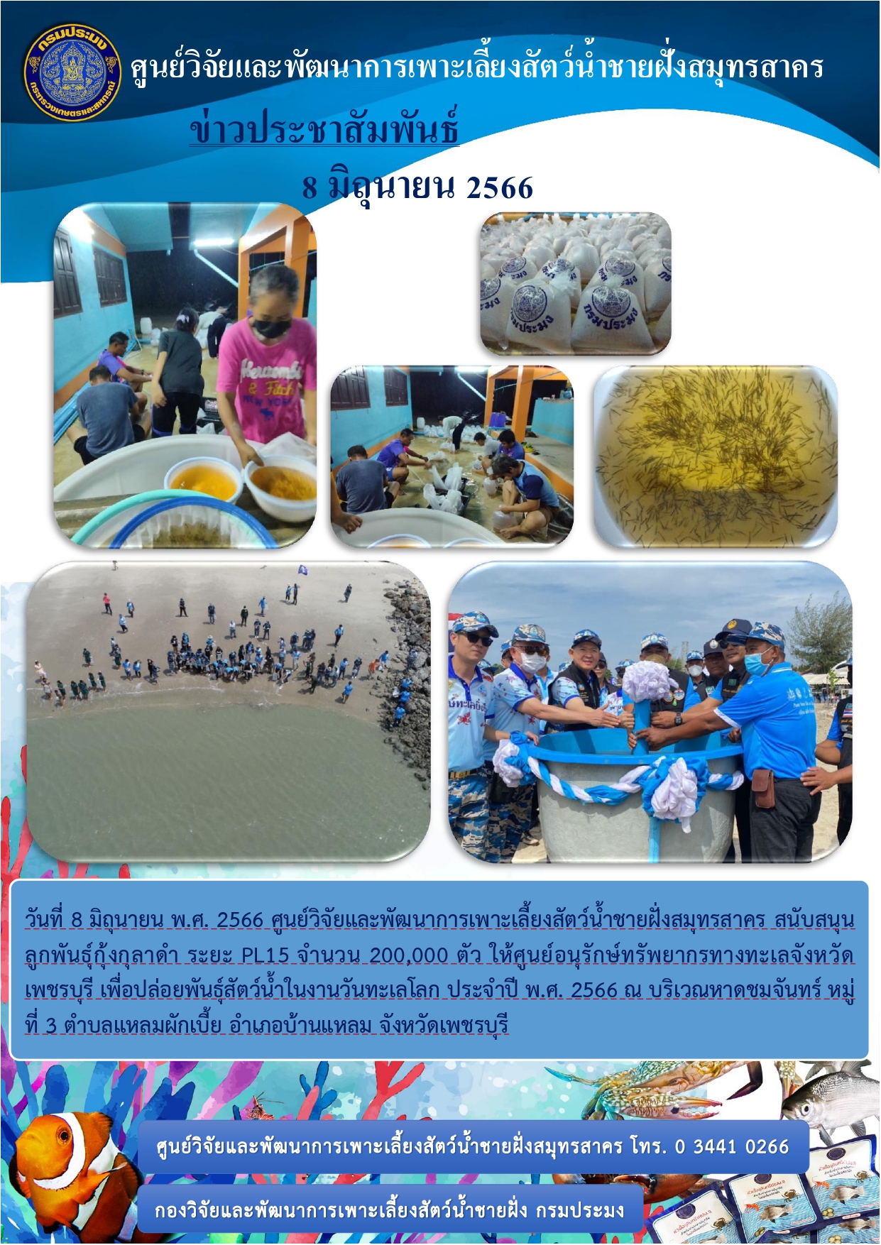 ศูนย์วิจัยและพัฒนาการเพาะเลี้ยงสัตว์น้ำชายฝั่งสมุทรสาคร สนับสนุนลูกพันธุ์กุ้งกุลาดำ ระยะ PL15 จำนวน 200,000 ตัว..คลิก