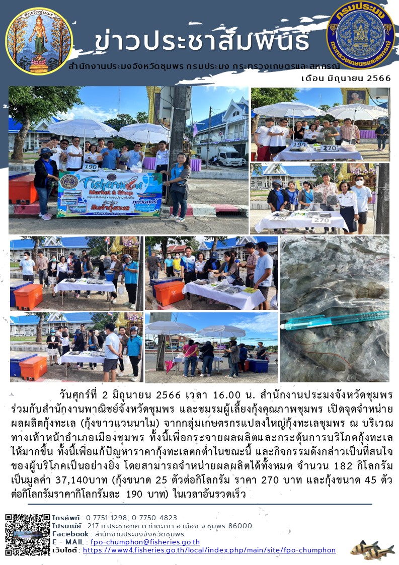 เปิดจุดจำหน่ายผลผลิตกุ้งทะเล (กุ้งขาวแวนนาไม) จากกลุ่มเกษตรกรแปลงใหญ่กุ้งทะเลชุมพร ณ บริเวณทางเท้าหน้าอำเภอเมืองชุมพร..คลิก