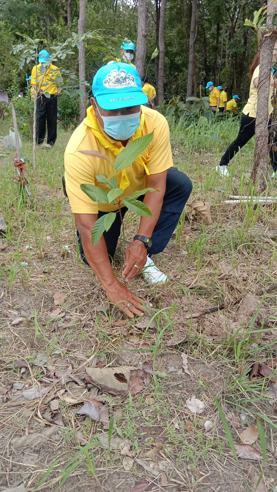 จิตอาสาพระราชทาน..คลิก