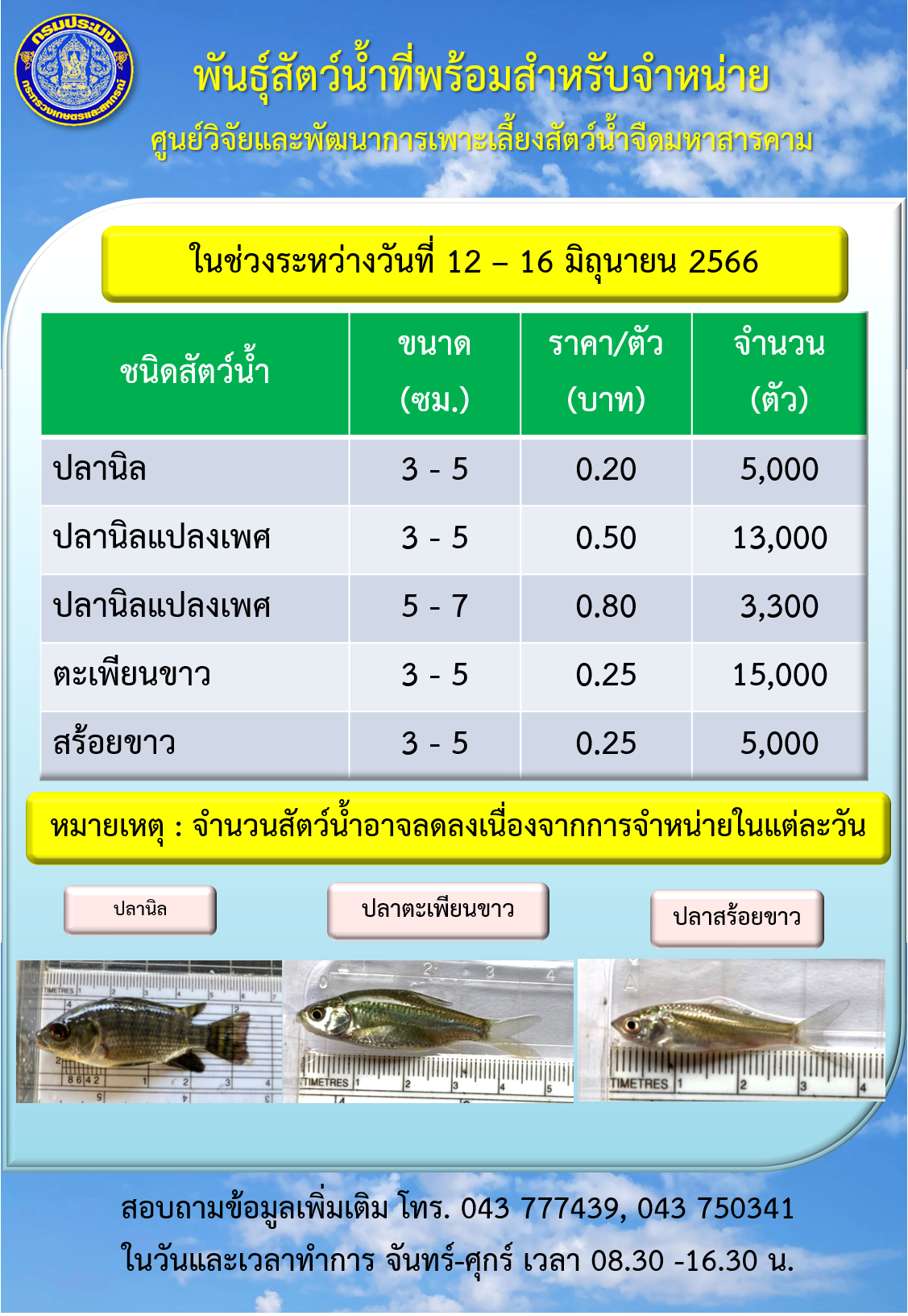พันธุ์สัตว์น้ำที่พร้อมสำหรับจำหน่าย ระหว่างวันที่ 12 – 16 มิถุนายน 2566..คลิก