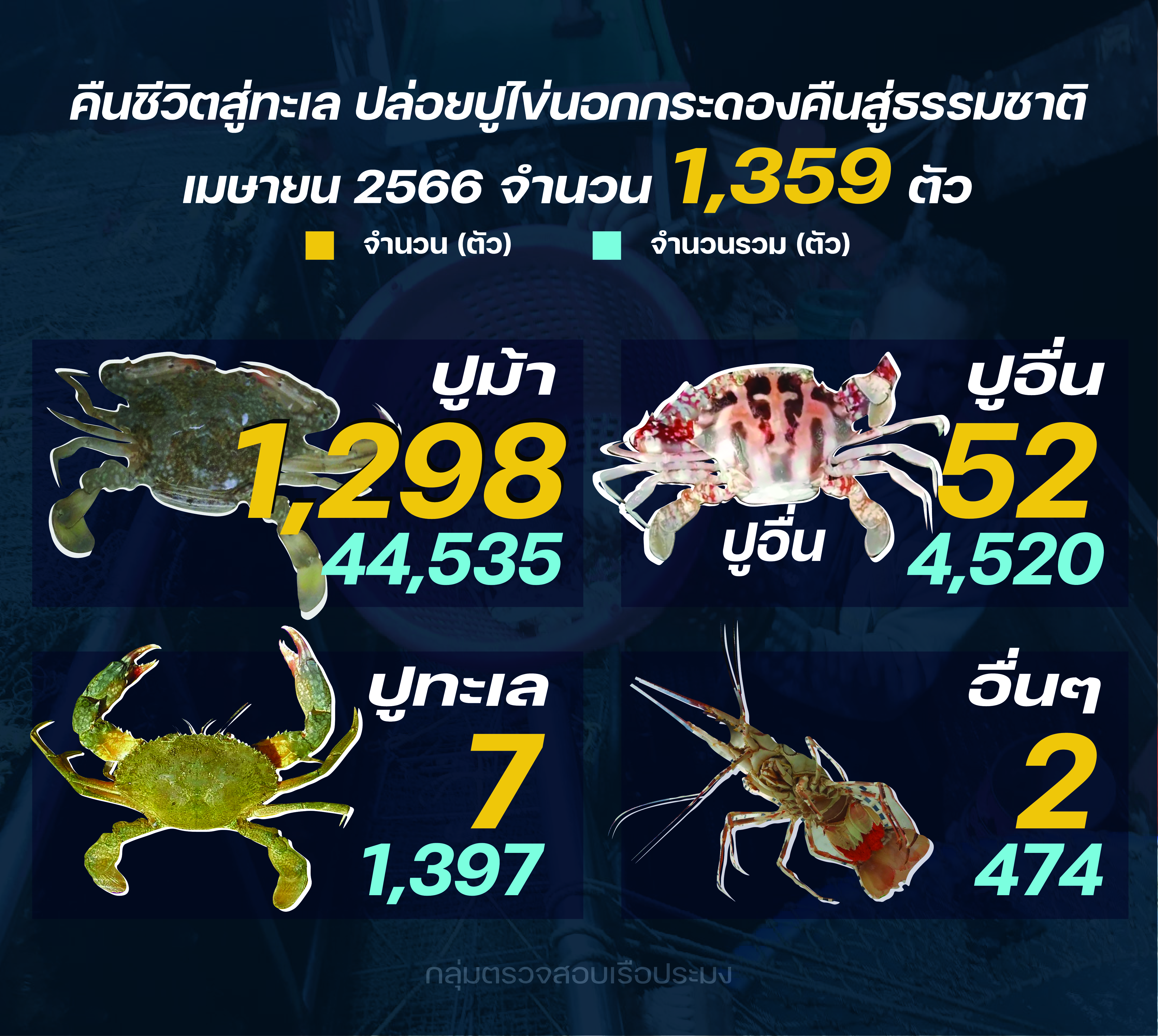 รายงานชาวประมง ปล่อยปูไข่ เมษายน 2566..คลิก