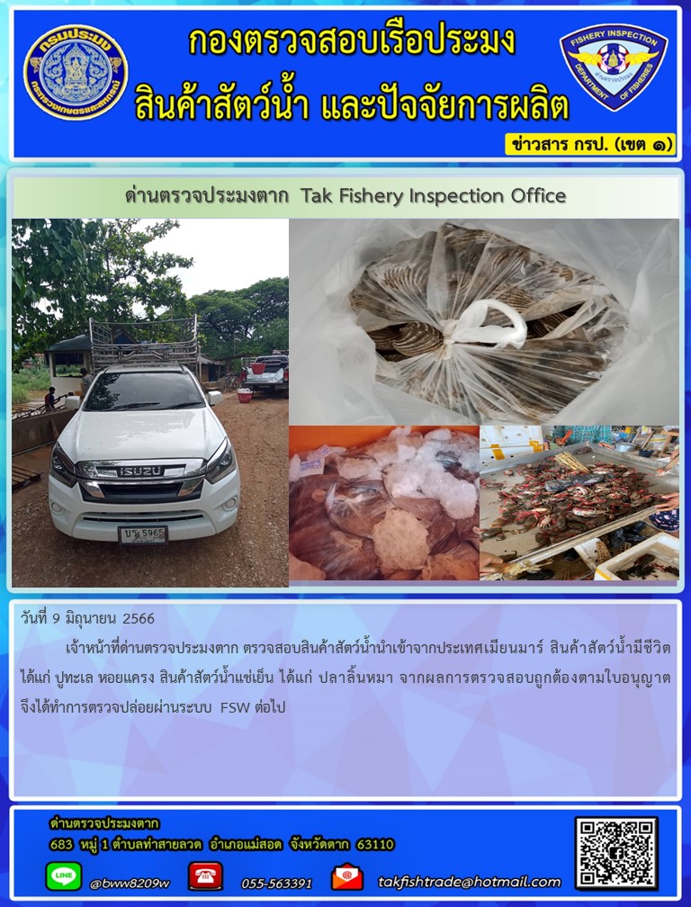 วันที่ 9 มิถุนายน 2566           เจ้าหน้าที่ด่านตรวจประมงตาก ตรวจสอบสินค้าสัตว์น้ำนำเข้าจากประเทศเมียนมาร์ สินค้าสัตว์น้ำมีชีวิต ได้แก่ ปูทะเล หอยแครง สินค้าสัตว์น้ำแช่เย็น ได้แก่ ปลาลิ้นหมา จากผลการตรวจสอบถูกต้องตามใบอนุญาตจึงได้ทำการตรวจปล่อยผ่านระบบ FSW ต่อไป..คลิก