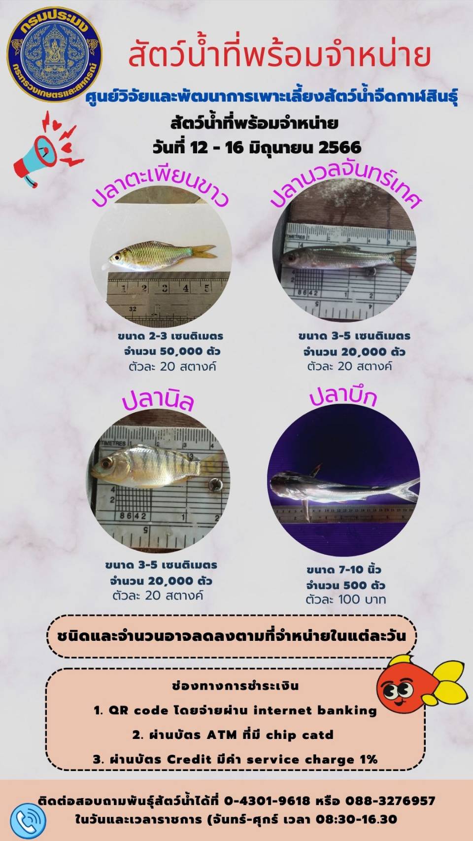 ข่าวประชาสัมพันธ์