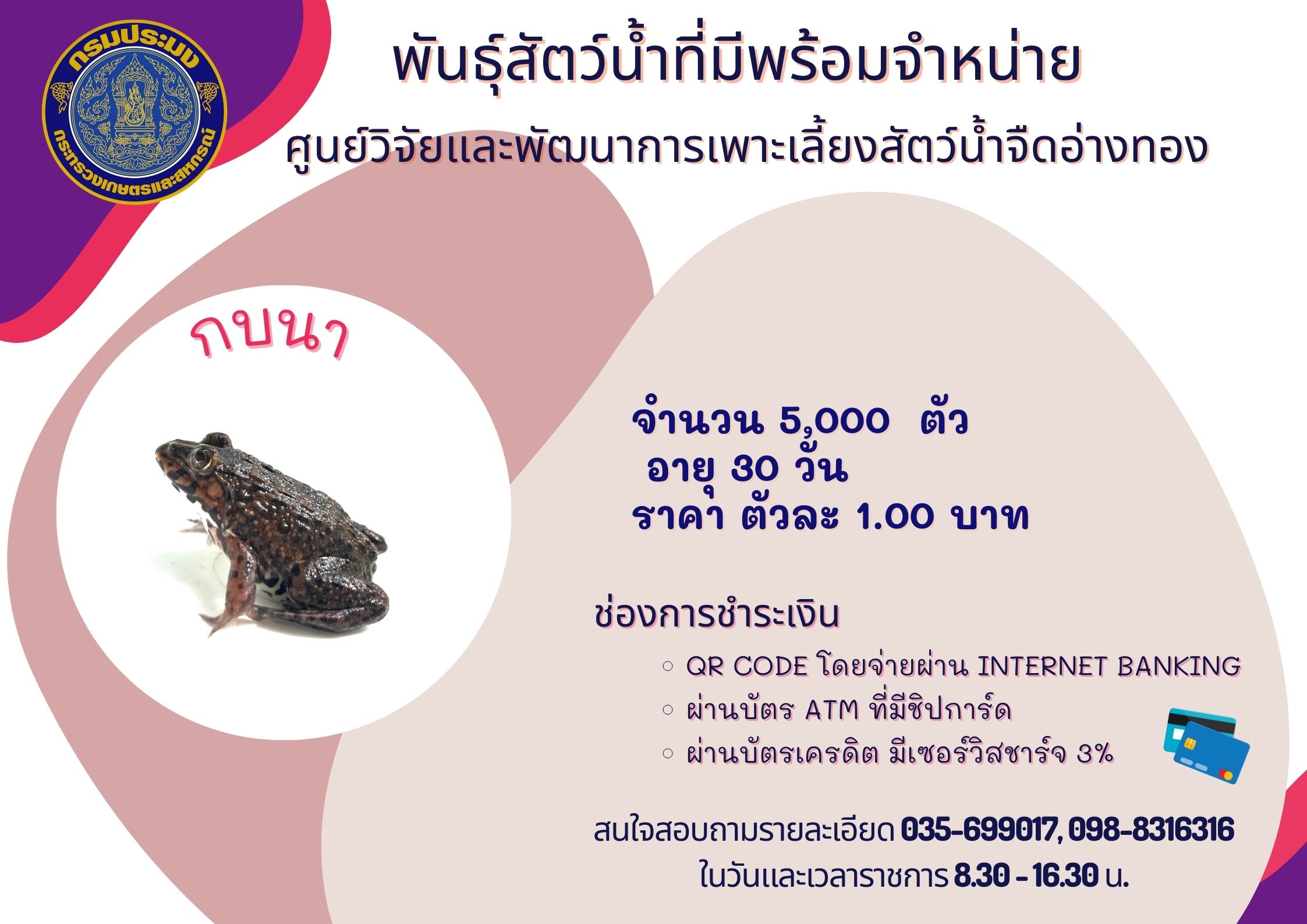 พันธุ์สัตว์น้ำที่มีพร้อมจำหน่าย..คลิก