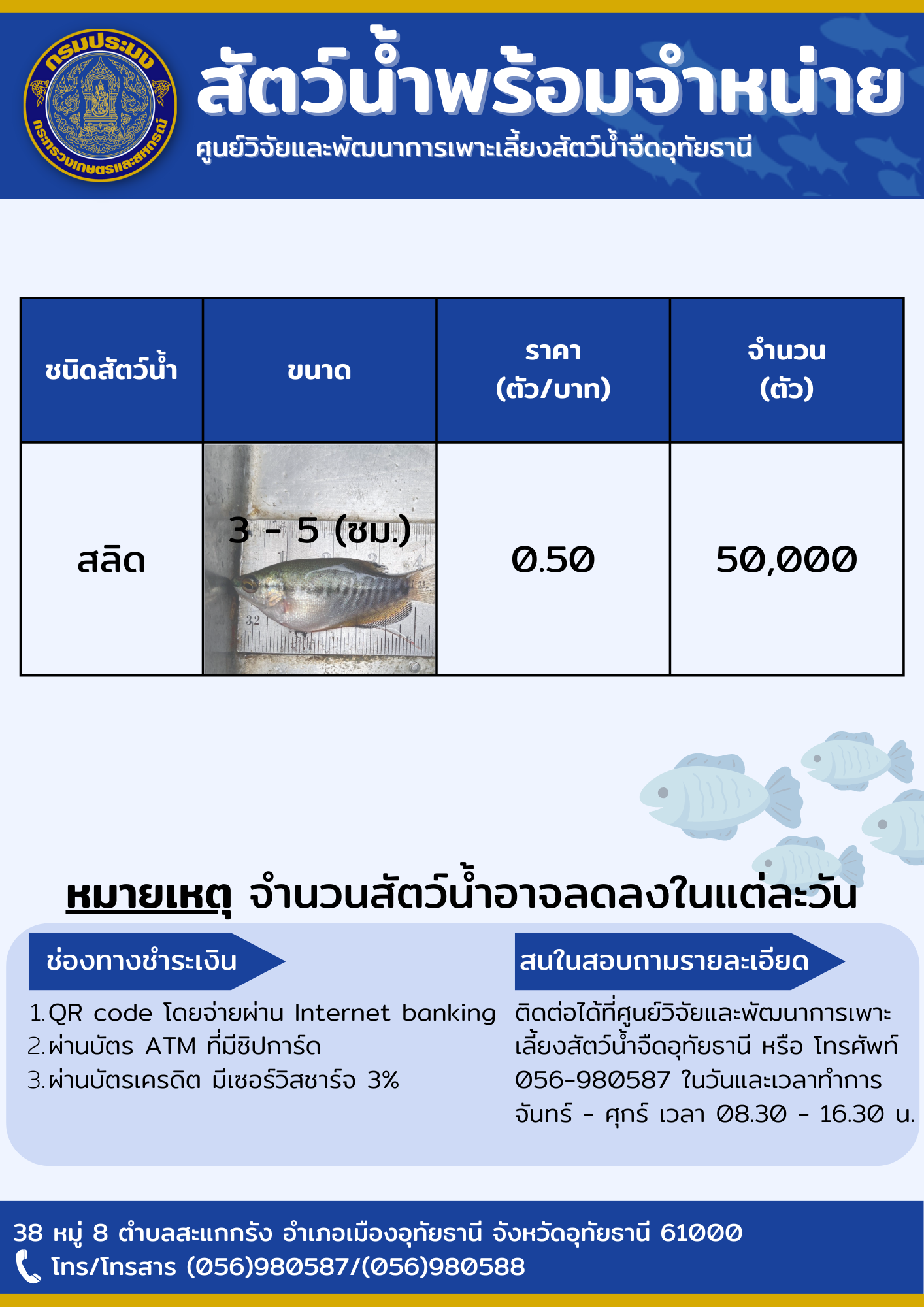 ศูนย์วิจัยและพัฒนาการเพาะเลี้ยงสัตว์น้ำจืดอุทัยธานี มีพันธุ์ปลาสลิดจำหน่าย  ขนาด 3-5 เซนติเมตร จำนวน 50,000 ตัว  ราคาตัวละ 0.50 บาท สนใจติดต่อได้ที่เบอร์  056-980587-8