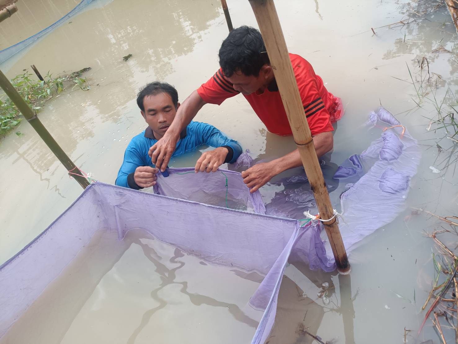 โครงการเศรษฐกิจพอเพียง..คลิก