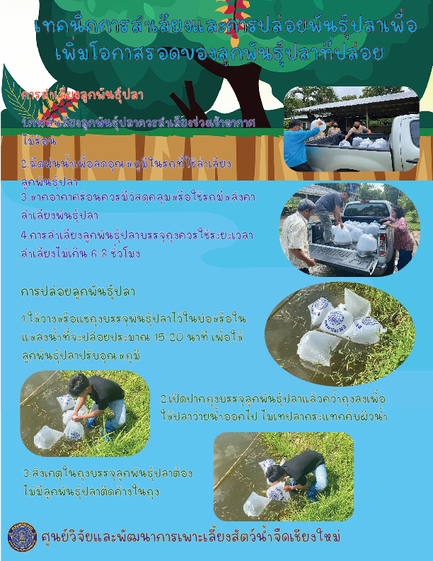 เทคนิคการลำเลียงและการปล่อยพันธุ์ปลาเพื่อเพิ่มโอกาสรอดของลูกพันธุ์ปลาที่ปล่อย
