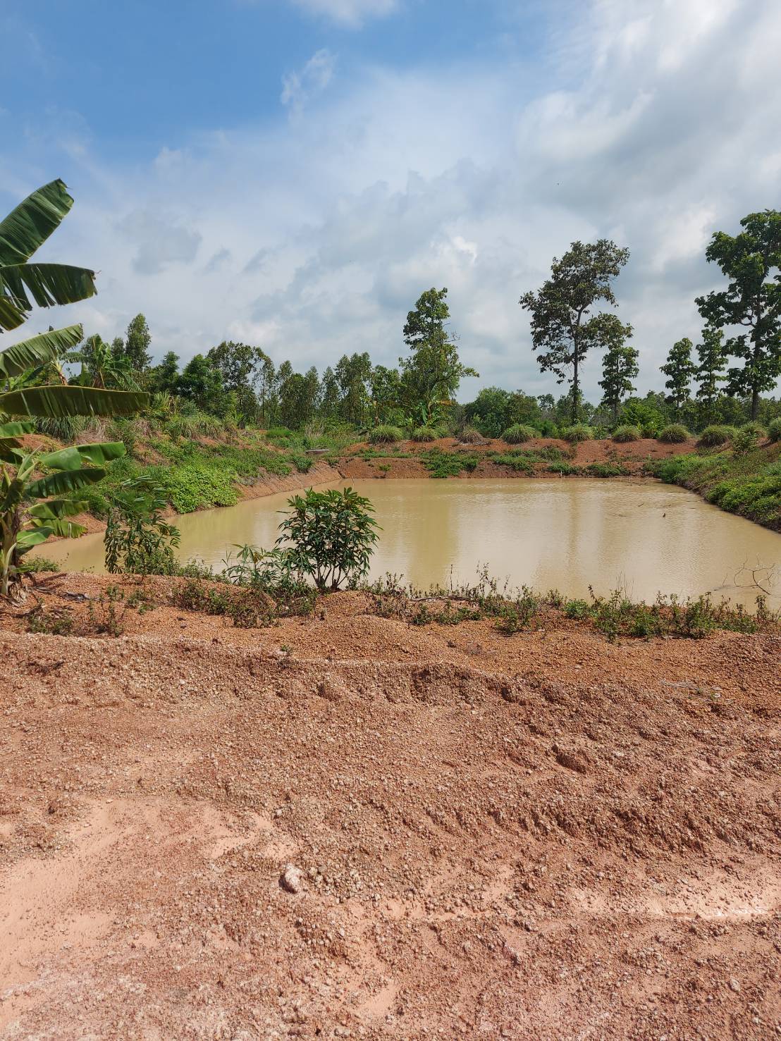 มอบปัจจัยการผลิตแก่เกษตรกรโครงการ zoning by agri-map..คลิก