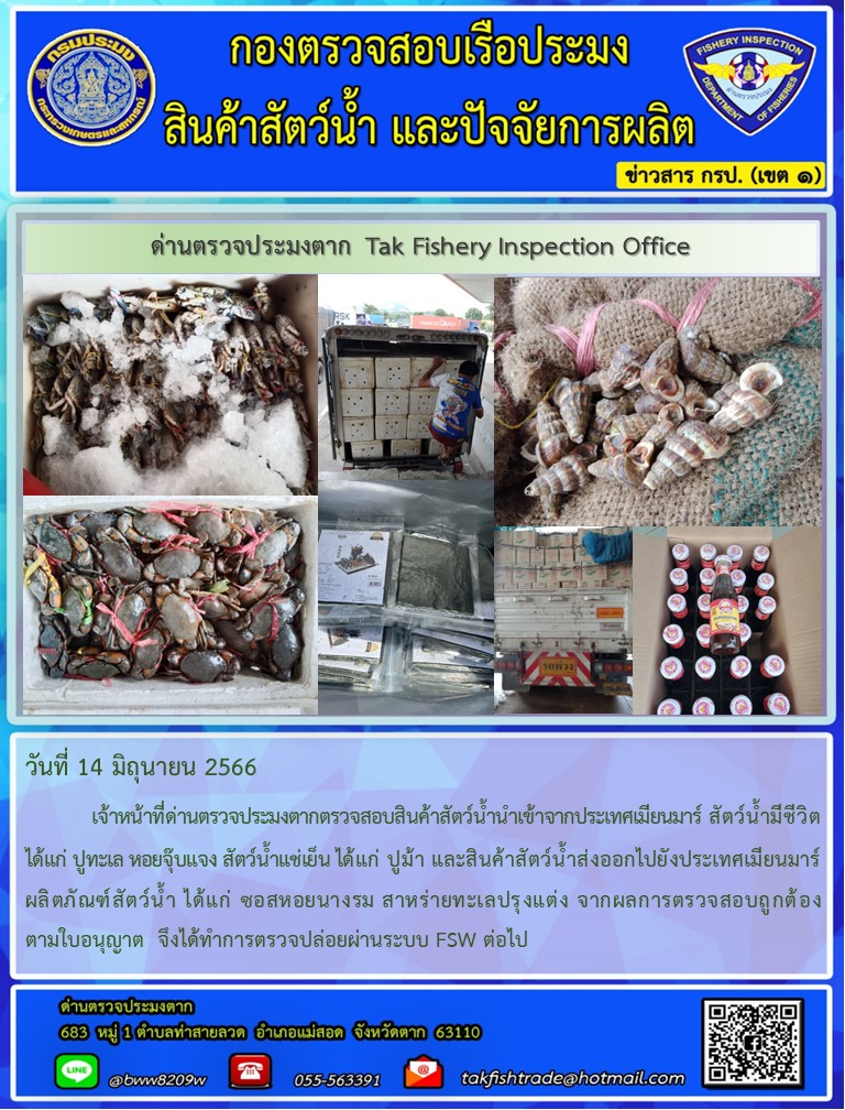วันที่ 14 มิถุนายน 2566           เจ้าหน้าที่ด่านตรวจประมงตากตรวจสอบสินค้าสัตว์น้ำนำเข้าจากประเทศเมียนมาร์ สัตว์น้ำมีชีวิต ได้แก่ ปูทะเล หอยจุ๊บแจง สัตว์น้ำแช่เย็น ได้แก่ ปูม้า และสินค้าสัตว์น้ำส่งออกไปยังประเทศเมียนมาร์ ผลิตภัณฑ์สัตว์น้ำ ได้แก่ ซอสหอยนางรม สาหร่ายทะเลปรุงแต่ง จากผลการตรวจสอบถูกต้องตามใบอนุญาต  จึงได้ทำการตรวจปล่อยผ่านระบบ FSW ต่อไป..คลิก