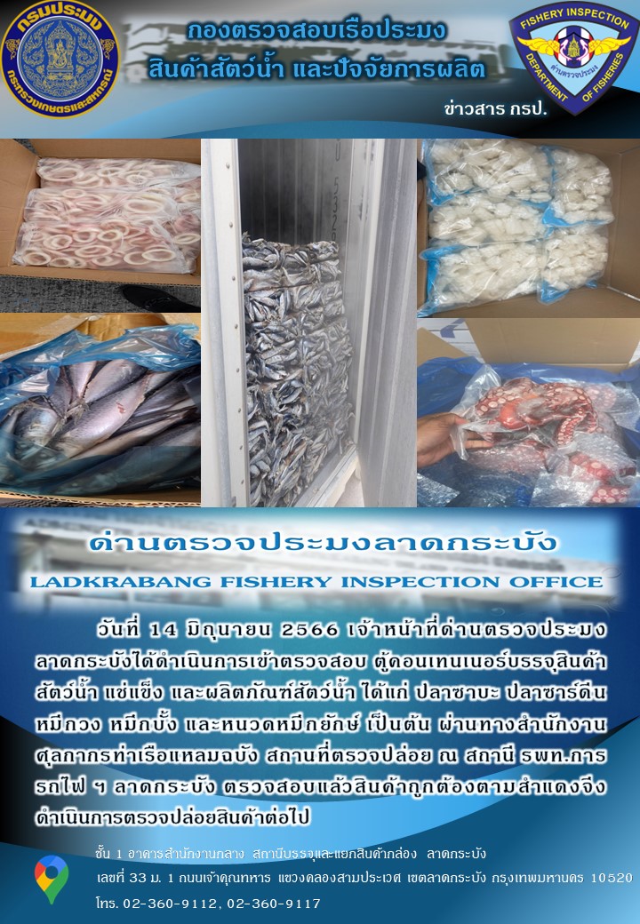 ตรวจสอบสินค้าสัตว์น้ำนำเข้าประจำวันที่ 14 มิถุนายน 2566..คลิก