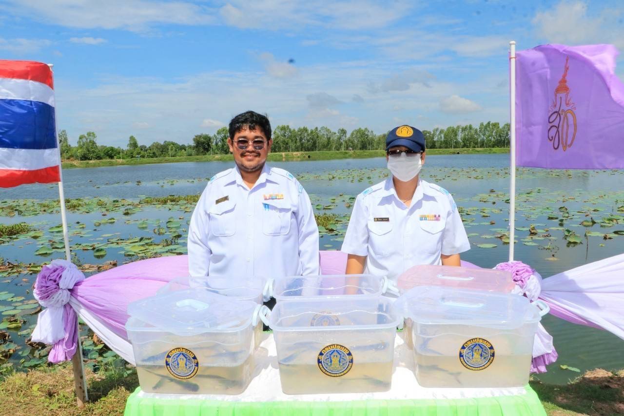ร่วมพิธีปล่อยพันธุ์สัตว์น้ำเฉลิมพระเกียรติ สมเด็จพระนางเจ้าสุทิดา พัชรสุธาพิมลลักษณ พระบรมราชินี เนื่องในวันเฉลิมพระชนมพรรษา..คลิก