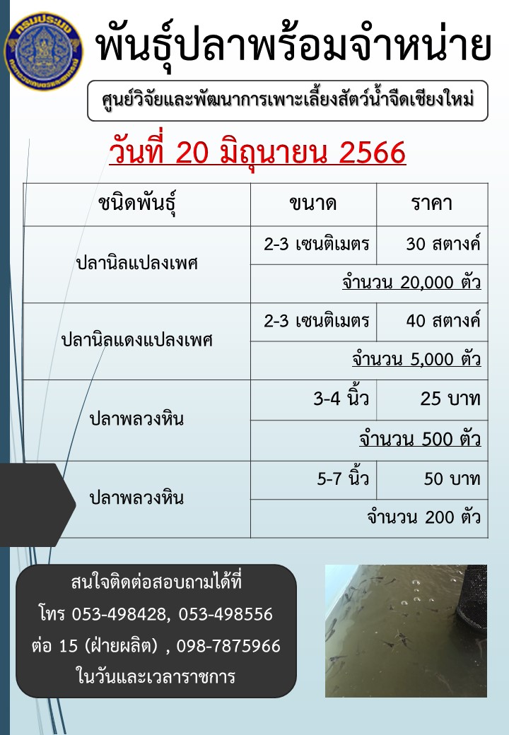จำหน่ายพันธุ์ปลา วันที่ 20 มิถุนายน 2566