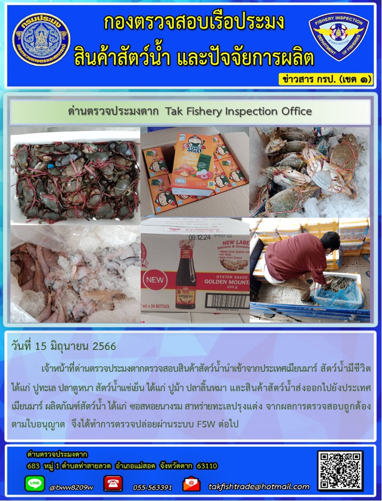 วันที่ 15 มิถุนายน 2566           เจ้าหน้าที่ด่านตรวจประมงตากตรวจสอบสินค้าสัตว์น้ำนำเข้าจากประเทศเมียนมาร์ สัตว์น้ำมีชีวิต ได้แก่ ปูทะเล ปลาตูหนา สัตว์น้ำแช่เย็น ได้แก่ ปูม้า ปลาลิ้นหมา และสินค้าสัตว์น้ำส่งออกไปยังประเทศเมียนมาร์ ผลิตภัณฑ์สัตว์น้ำ ได้แก่ ซอสหอยนางรม สาหร่ายทะเลปรุงแต่ง จากผลการตรวจสอบถูกต้องตามใบอนุญาต  จึงได้ทำการตรวจปล่อยผ่านระบบ FSW ต่อไป..คลิก