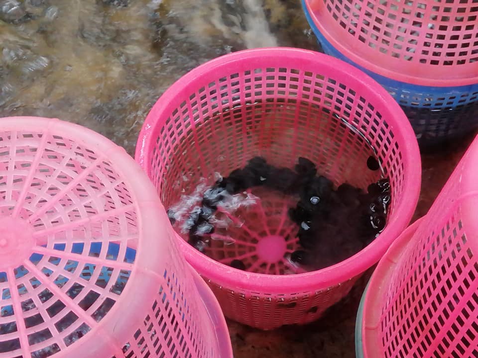 สอ.4..คลิก