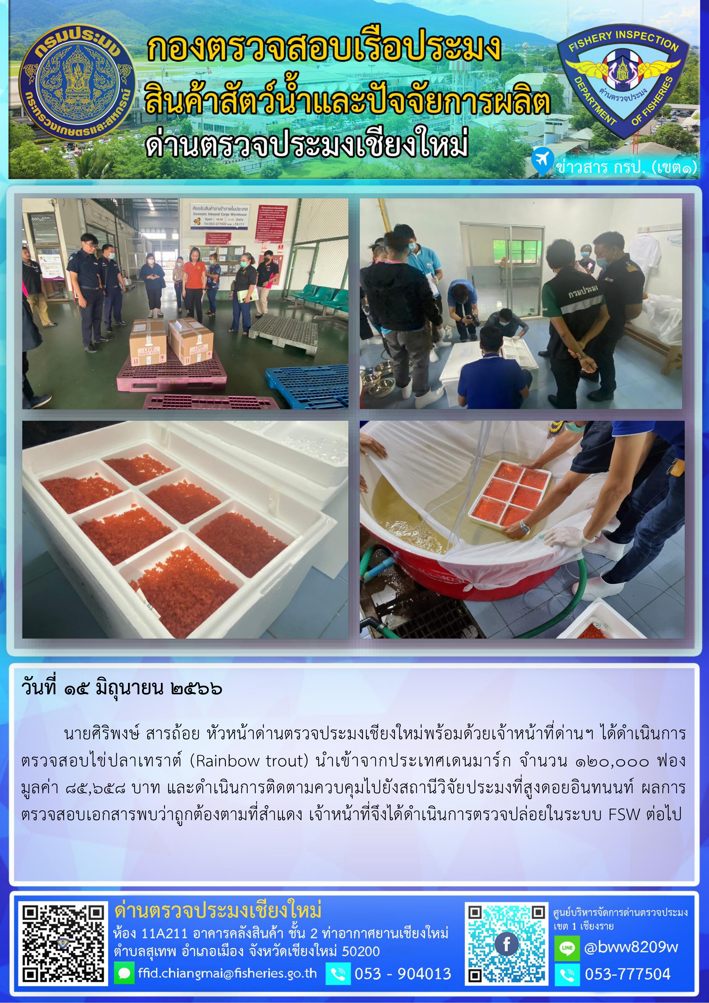 15 มิ.ย.66 นายศิริพงษ์ สารถ้อย หัวหน้าด่านตรวจประมงเชียงใหม่พร้อมด้วยเจ้าหน้าที่ด่านฯ ได้ดำเนินการตรวจสอบไข่ปลาเทราต์ (Rainbow trout) นำเข้าจากประเทศเดนมาร์ก..คลิก