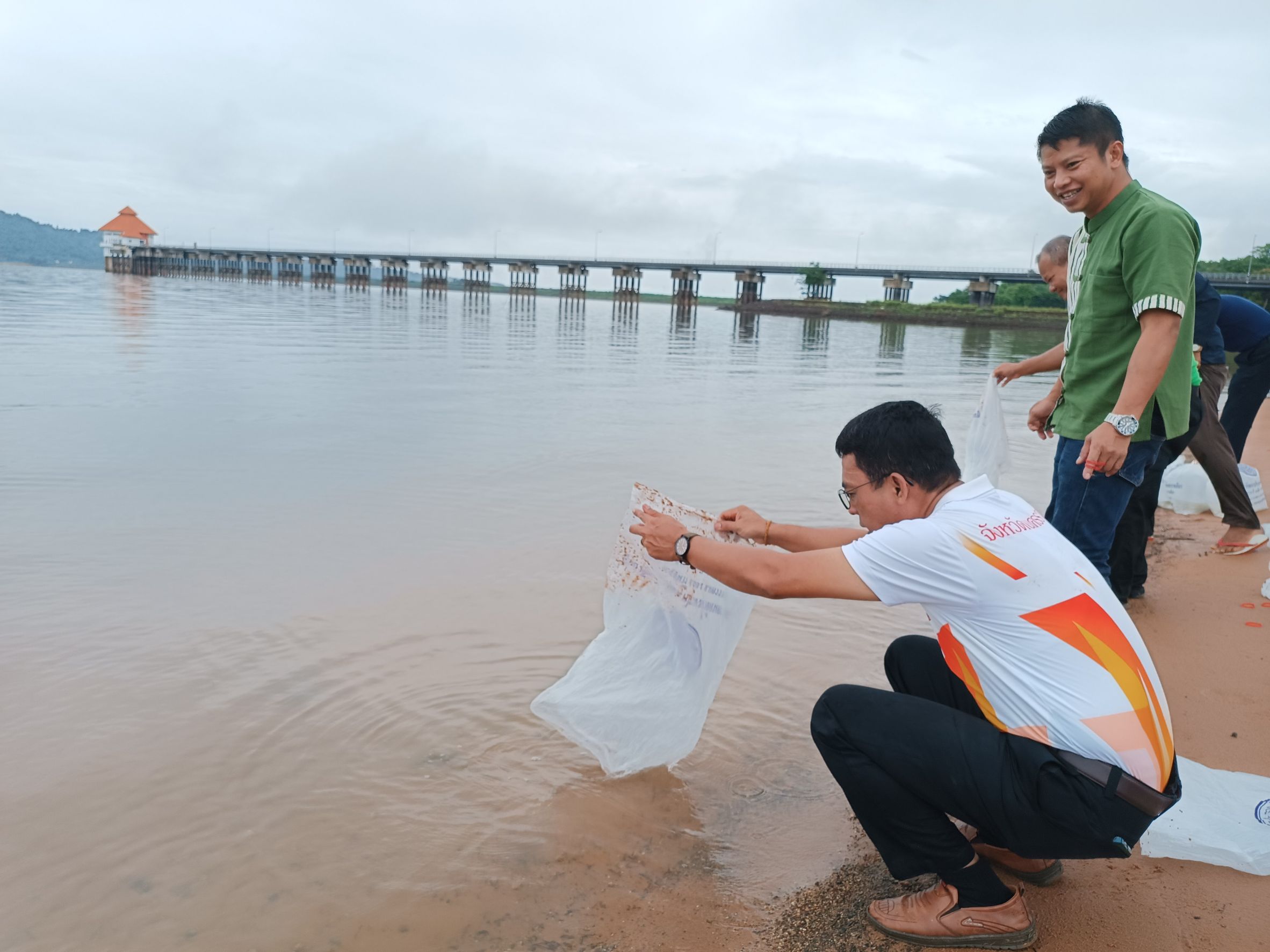 ประมงอำเภอครบุรีพร้อมด้วยผู้นำชุมชนและชาวบ้านตำบลโคกกระชาย อำเภอครบุรี ปล่อยพันธุ์ปลาน้ำจืดลงในเขื่อนลำแชะ เพื่อเพิ่มความอุดมสมบูรณ์และความหลากหลาย..คลิก