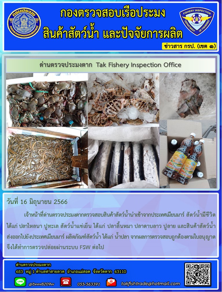 วันที่ 16 มิถุนายน 2566           เจ้าหน้าที่ด่านตรวจประมงตากตรวจสอบสินค้าสัตว์น้ำนำเข้าจากประเทศเมียนมาร์ สัตว์น้ำมีชีวิต ได้แก่ ปลาไหลนา ปูทะเล สัตว์น้ำแช่เย็น ได้แก่ ปลาลิ้นหมา ปลาดาบลาว ปูลาย และสินค้าสัตว์น้ำส่งออกไปยังประเทศเมียนมาร์ ผลิตภัณฑ์สัตว์น้ำ ได้แก่ น้ำปลา จากผลการตรวจสอบถูกต้องตามใบอนุญาต  จึงได้ทำการตรวจปล่อยผ่านระบบ FSW ต่อไป..คลิก