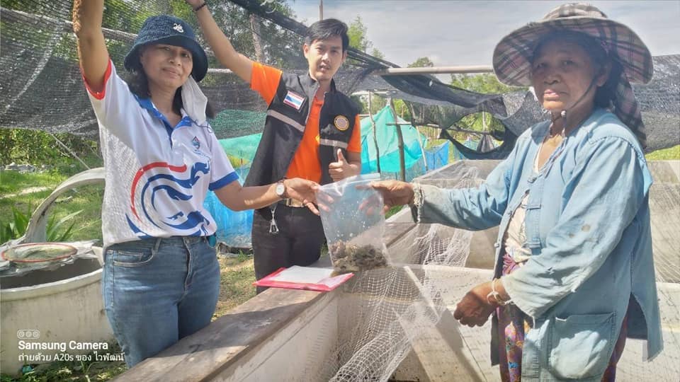 ข่าวประชาสัมพันธ์ประจำวันที่ 15-16 มิถุนายน 2566 ศูนย์วิจัยและพัฒนาการเพาะเลี้ยงสัตว์น้ำจืดศรีสะเกษ ฉบับที่ 58