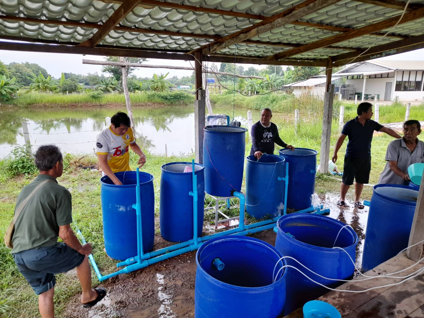 วันที่ 18 มิถุนายน 2566  นางสาวมลฤดี ลิ้มสุวรรณ ประมงอำเภอศรีบุญเรือง ร่วมกับสมาชิกเกษตรกรกลุ่มเพาะพันธุ์ปลา แปลงใหญ่พืชผักหนองม่วงชมพูทอง ซึ่งเป็นเกษตรกรโครงการตามแผนปฎิบัติราชการจังหวัดหนองบัวลำภู กิจกรรมย่อย พัฒนาศักยภาพการผลิตลูกพันธุ์ปลาตะเพียนขาวในชุมชนต้นแบบโดยใช้ชุดเพาะพันธุ์ปลาเคลื่อนที่ ประจำปีงบประมาณ 2566..คลิก