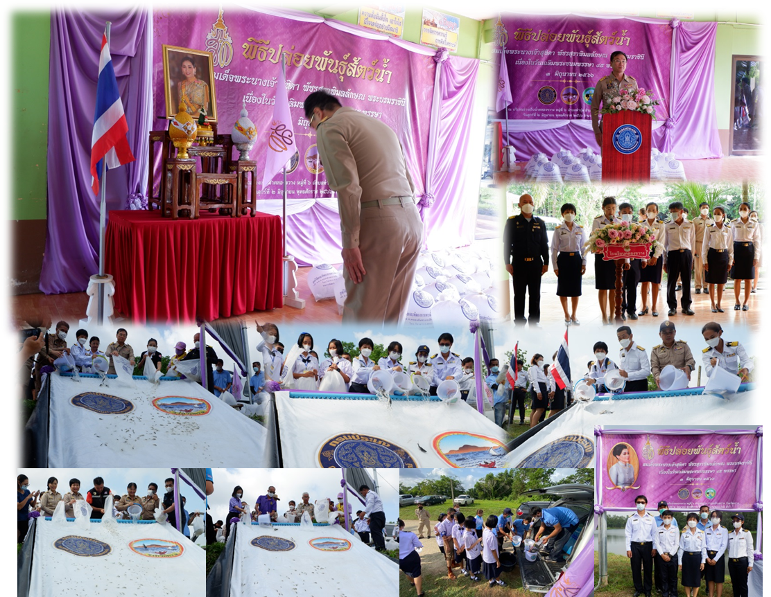 พิธีปล่อยพันธุ์สัตว์น้ำเฉลิมพระเกียรติ  สมเด็จพระนางเจ้าสุทิดา  พัชรสุธาพิมลลักษณ พระบรมราชินี เนื่องในโอกาสวันเฉลิมพระชนมพรรษา..คลิก
