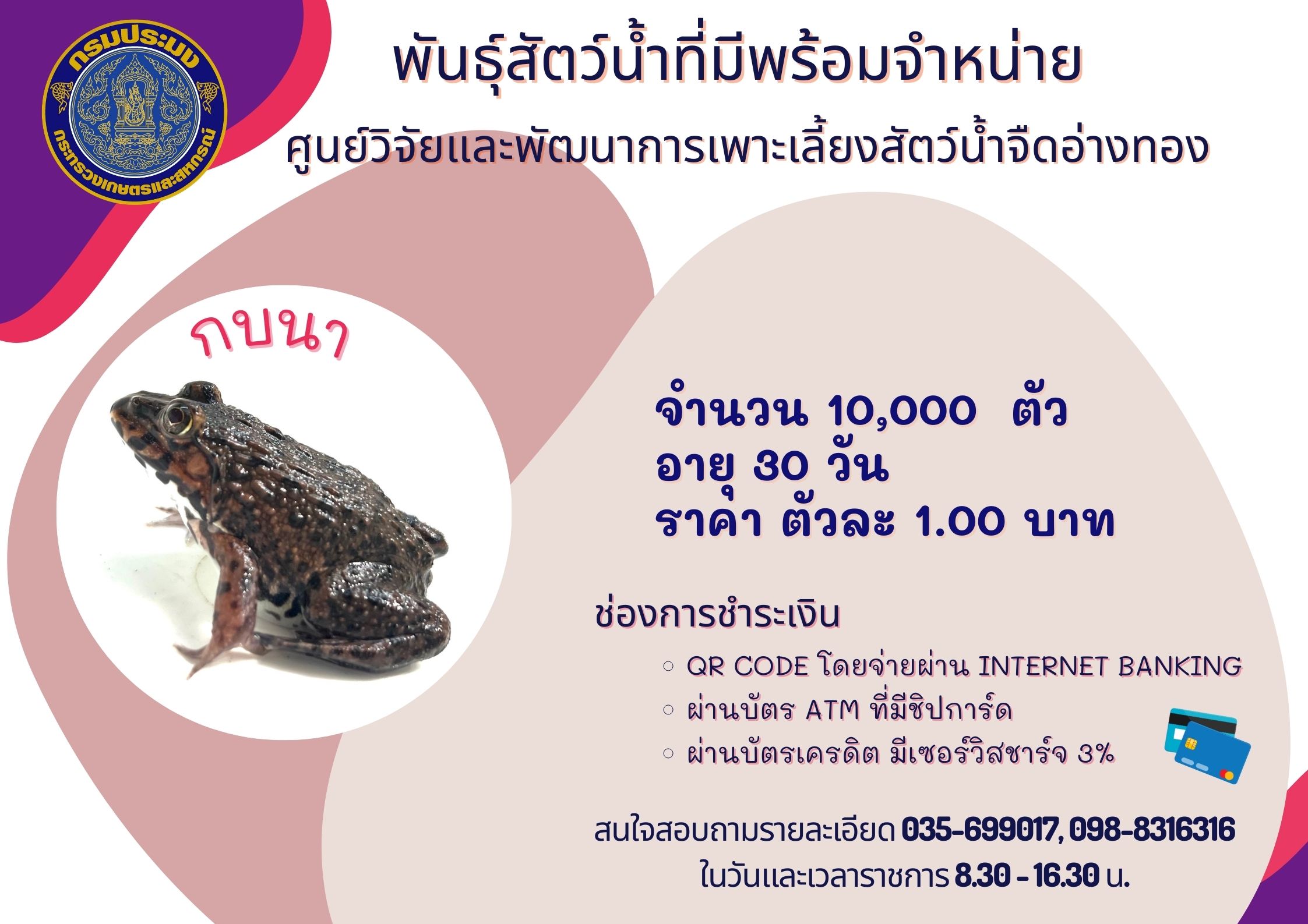 พันธุ์สัตว์น้ำที่มีพร้อมจำหน่าย..คลิก