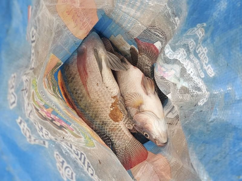 ประมงอำเภอชุมแสง พร้อมทีมงานประมงอาสา รวมจำนวน 4 นาย  ลงตรวจสอบพื้นที่ฯ..คลิก