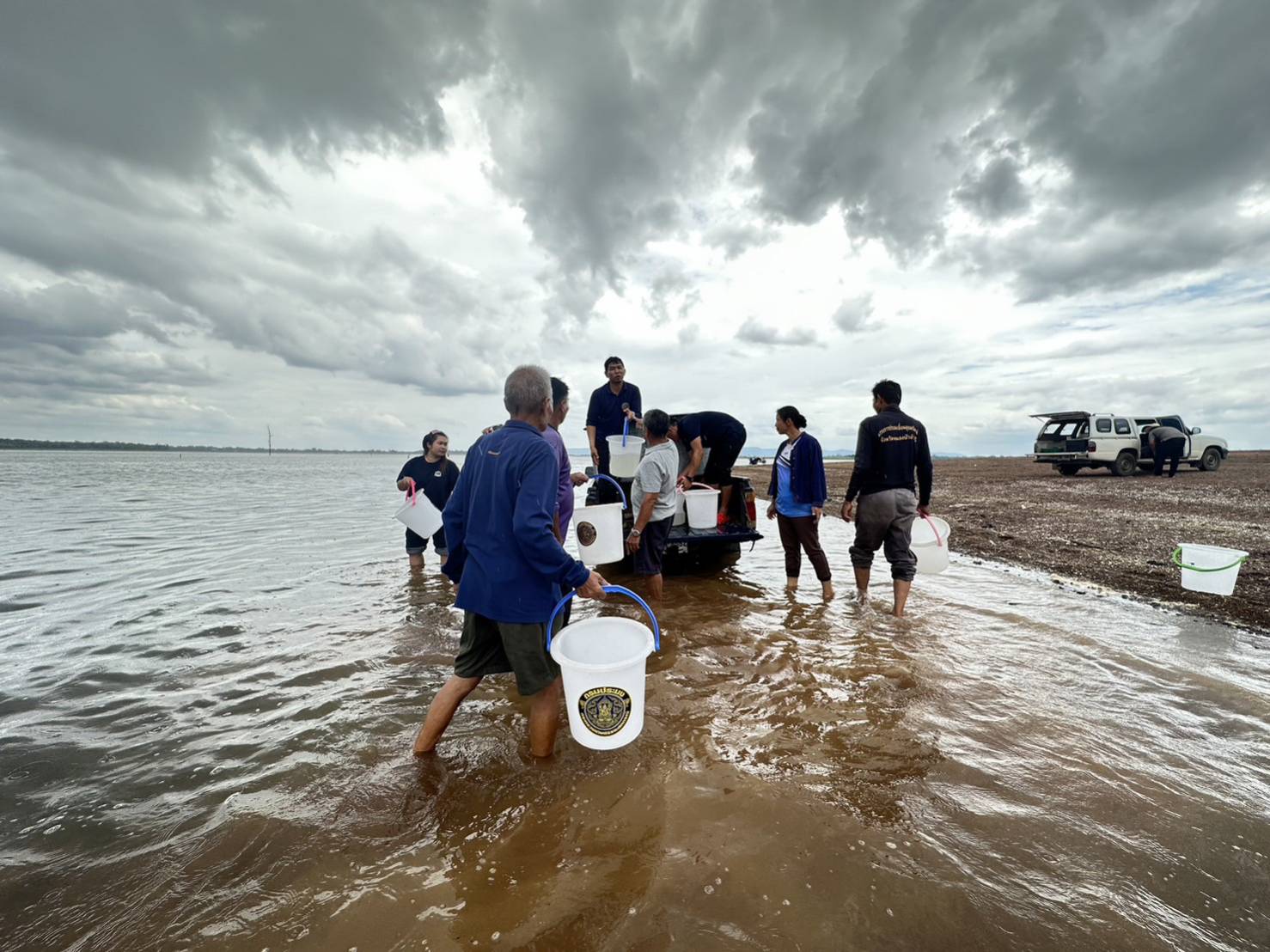 ปล่อยกุ้งก้ามกราม บ้านหนองเหมือดแอ่ หมู่ที่ 4 ตำบลหนองเรือ อำเภอโนนสัง จังหวัดหนองบัวลำภู..คลิก