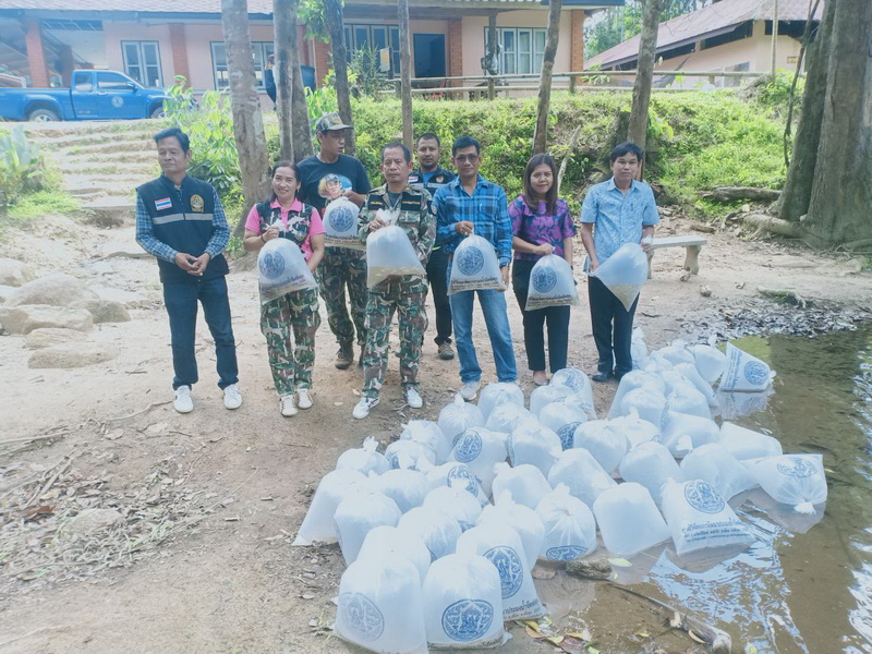 สนับสนุนพันธุ์ปลากินพืช เพื่อปล่อยลงสู่ฝายชะลอน้ำคลองบ้านพูด อ.กงหรา จ.พัทลุง..คลิก