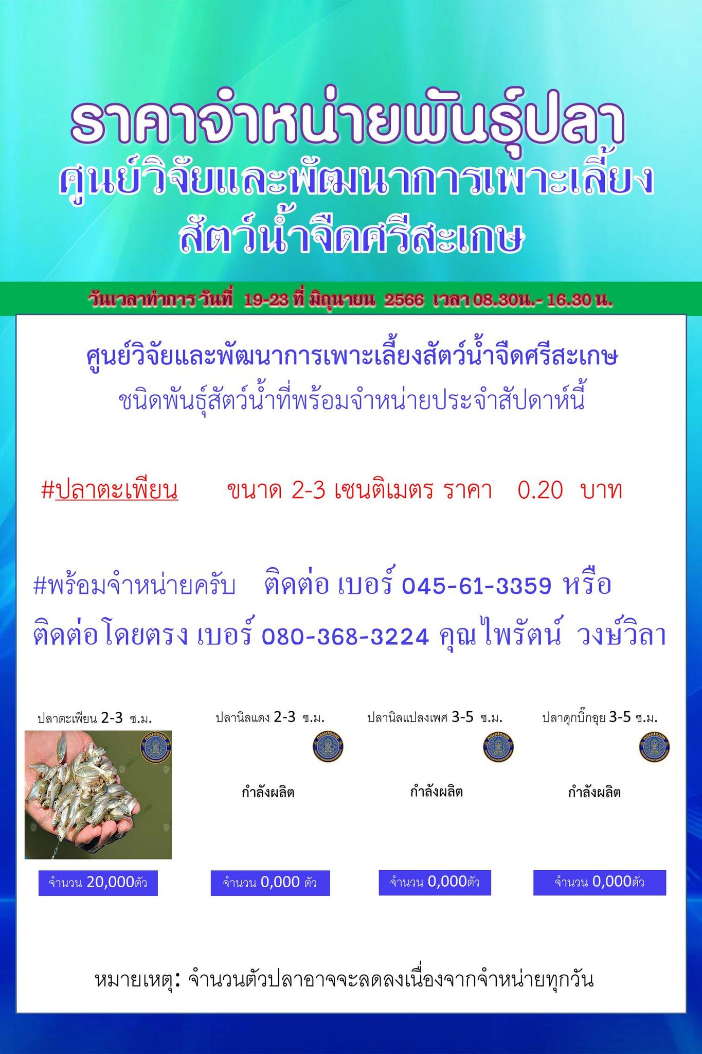 ศูนย์วิจัยและพัฒนาการเพาะเลี้ยงสัตว์น้ำจืดศรีสะเกษมีชนิดพันธุ์สัตว์น้ำพร้อมจำหน่าย วันที่ 19-23 มิถุนายน 2566..คลิก