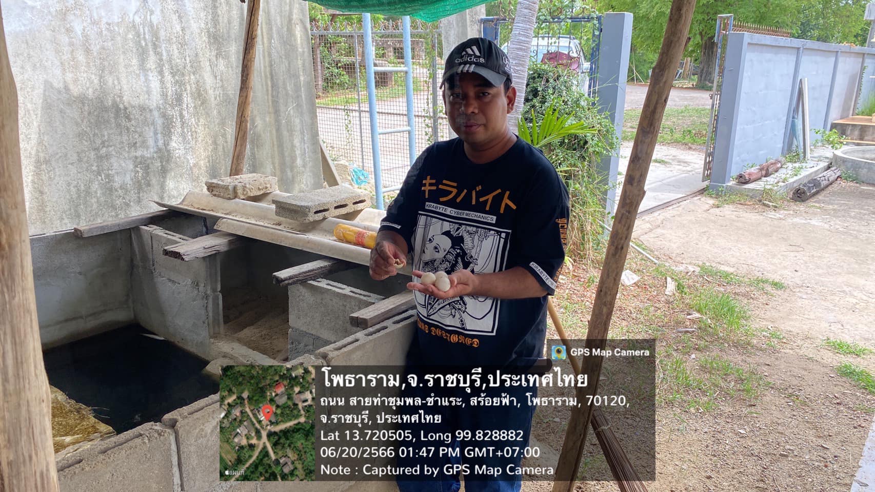 ลงพื้นที่ตรวจฟาร์มประจำปี ฟาร์มเพาะเลี้ยงตะพาบน้ำไทย..คลิก