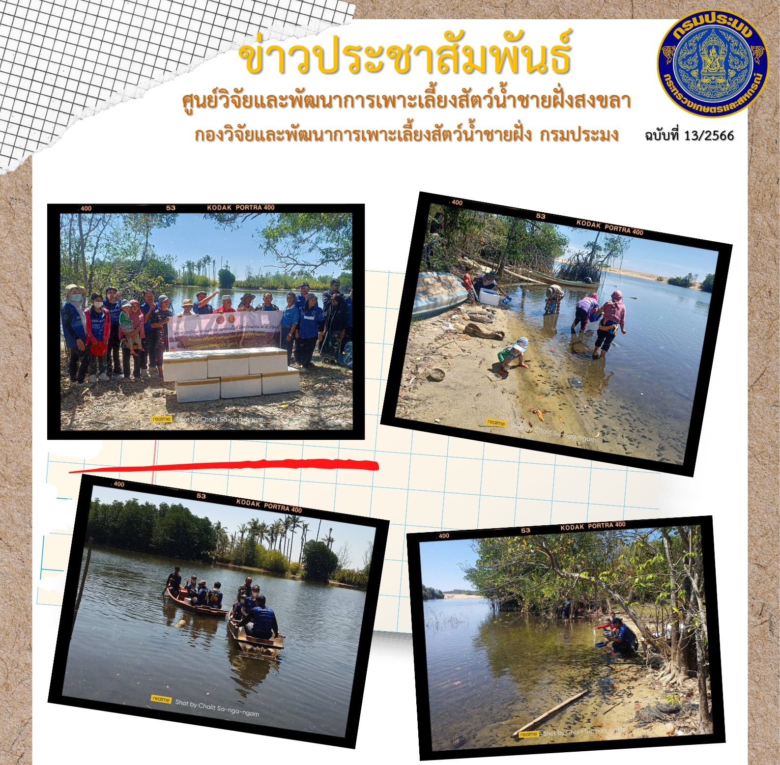 นางสาวปริศนา คลิ้งสุขคล้าย ผู้อำนวยการศูนย์วิจัยและพัฒนาการเพาะเลี้ยงสัตว์น้ำชายฝั่งสงขลา มอบหมายให้นายชลิต สง่างาม ส่งมอบพันธุ์ปูทะเล ในพื้นที่ จ.นราธิวาส..คลิก