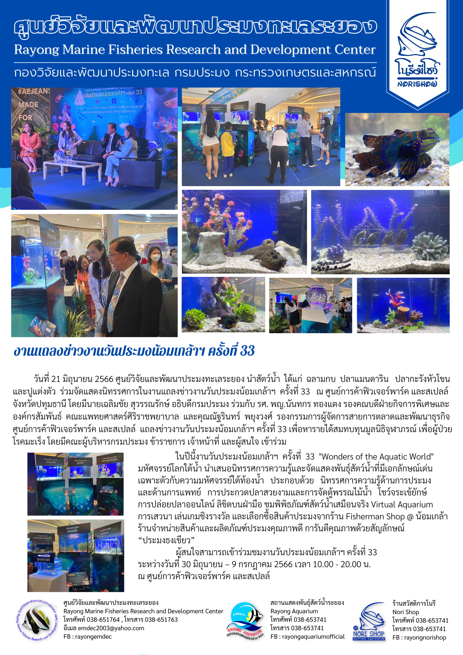 วันที่ 21 มิถุนายน 2566 ศูนย์วิจัยและพัฒนาประมงทะเลระยอง น้ำสัตว์น้ำ ได้แก่ ฉลามกบ ปลาแมนดาริน ปลากะรังหัวโขน และปูแต่งตัว ร่วมจัดนิทรรศการในงานแถลงข่าวงานวันประมงน้อมเกล้าฯ ครั้งที่ 33 ณ ศูนย์การค้าฟิวเจอร์พาร์ค และสเปลล์ จังหวัดปทุมธานี โดยมีนายเฉลิมชัย สุวรรณรักษ์ อธิบดีกรมประมง ร่วมกับ รศ. พญ.นันทกร ทองแตง รองคณบดีฝ่ายกิจการพิเศษและองค์กรสัมพันธ์ คณะแพทยศาสตร์ศิริราชพยาบาล และคุณณัฐรินทร์ พยุงวงศ์ รองกรรมการผู้จัดการสายการตลาดและพัฒนาธุรกิจศูนย์การค้าฟิวเจอร์พาร์ค และสเปลล์ แถลงข่าวงานวันประมงน้องเกล้าฯ ครั้งที่ 33 เพื่อหารายได้สบทบทุนมูลนิธิจุฬาภรณ์ เพื่อผู้ป่วยโรคมะเร็ง โดยมีคณะผู้บริหารกรมประมง ข้าราชการ เจ้าหน้าที่ และผู้สนใจ เข้าร่วม..คลิก