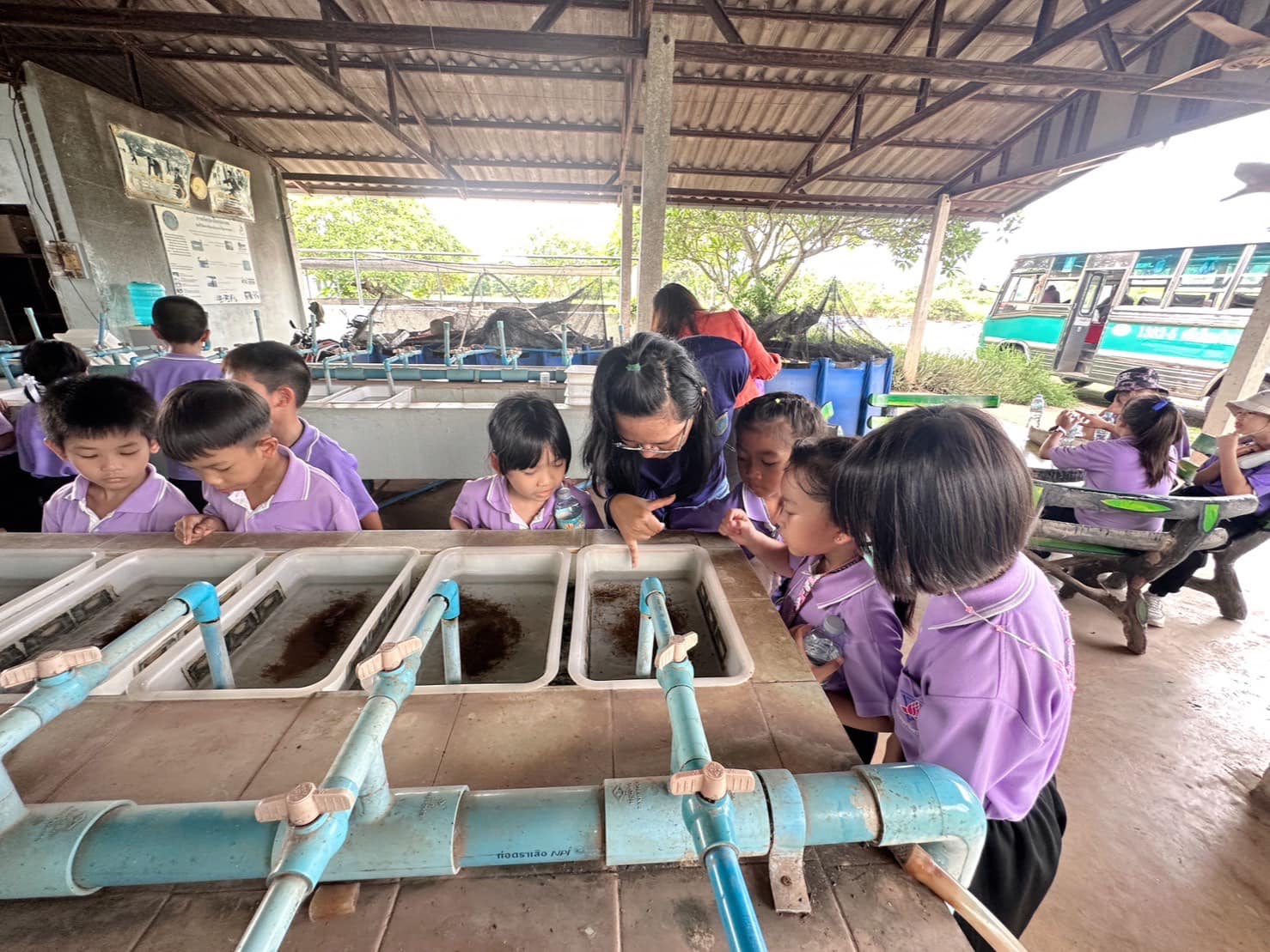 วันพฤหัสบดีที่ 22 มิถุนายน 2566 ศูนย์วิจัยและพัฒนาการเพาะเลี้ยงสัตว์น้ำจืดหนองคาย ต้อนรับคณะศึกษาดูงานจากโรงเรียนอนุบาลดารณีท่าบ่อ อำเภอท่าบ่อ จังหวัดหนองคาย โดยมีนักเรียนชั้นประถมศึกษาปีที่ 3 เข้าร่วมกิจกรรม จำนวน 36 คน และอาจารย์ผู้ควบคุม จำนวน 5 คน ตามโครงการบ้านนักวิทยาศาสตร์น้อยระดับประถมศึกษา โดยมีกิจกรรมศึกษาแหล่งเรียนรู้ เกี่ยวกับการเพาะพันธุ์สัตว์น้ำ รวมถึงเรียนรู้การเจริญเติบโตของสัตว์น้ำชนิดต่าง ๆ และนำความรู้ไปใช้ในชีวิตประจำวันจากสถานที่จริงเพื่อเป็นการเปิดโลกทัศน์ให้นักเรียนได้รับความรู้ และประสบการณ์ตรง จากสถานที่จริง รวมทั้งได้ฝึกปฏิบัติการภาคสนามจากแหล่งเรียนรู้ต่างๆ..คลิก