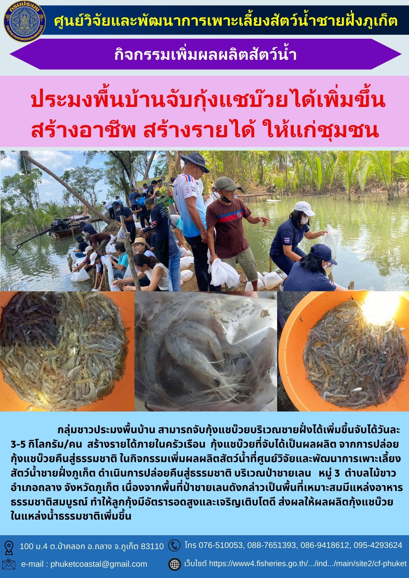 ประมงพื้นบ้านจับกุ้งแชบ๊วยได้เพิ่มขึ้น สร้างอาชีพ สร้างรายได้ ให้แก่ชุมชน..คลิก