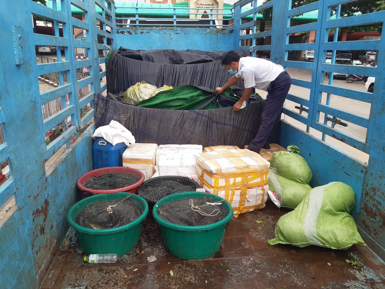 ตรวจสินค้าประมงที่นำเข้า ส่งออก ทางจุดผ่านแดนถาวรบ้านคลองลึก..คลิก