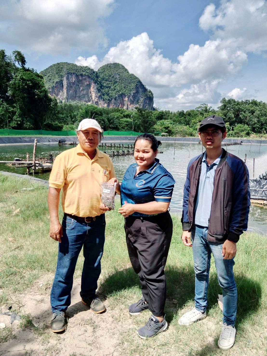 ตรวจรับรองมาตรฐาน GAP (Good Aquaculture Practices) กรมประมง ฟาร์มเลี้ยงกุ้งทะเล..คลิก