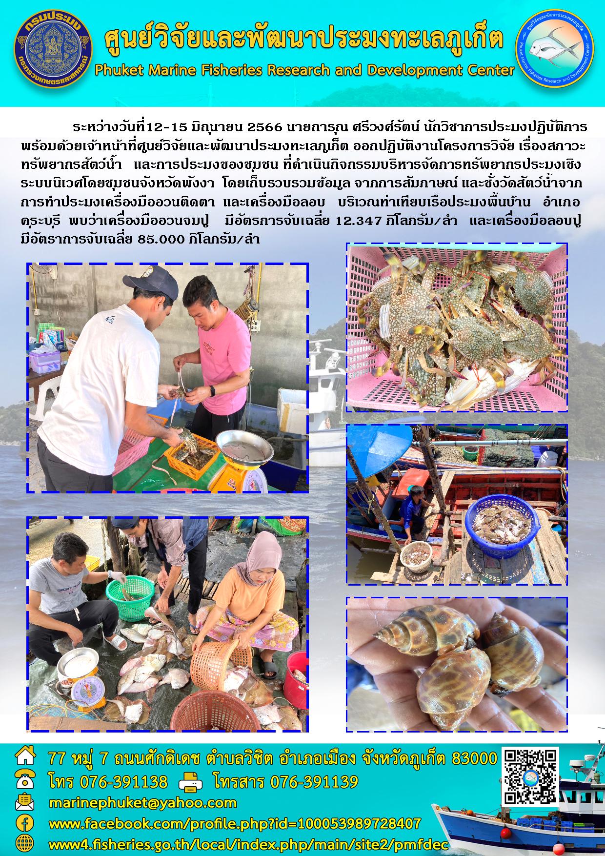 ระหว่างวันที่ 12-15 มิถุนายน 2566 นายการุณ ศรีวงศ์รัตน์ นักวิชาการประมงปฏิบัติการพร้อมด้วยเจ้าหน้าที่ศูนย์วิจัยและพัฒนาประมงทะเลภูเก็ต ออกปฏิบัติงานโครงการวิจัย เรื่องสภาวะทรัพยากรสัตว์น้ำ และการประมงของชุมชน ที่ดำเนินกิจกรรมบริหารจัดการทรัพยากรประมงเชิงระบบนิเวศโดยชุมชนจังหวัดพังงา โดยเก็บรวบรวมข้อมูล จากการสัมภาษณ์ และชั่งวัดสัตว์น้ำจากการทำประมงเครื่องมืออวนติดตา และเครื่องมือลอบ บริเวณท่าเทียบเรือประมงพื้นบ้าน อำเภอคุระบุรี พบว่าเครื่องมืออวนจมปู มีอัตราการจับเฉลี่ย 12.347 กิโลกรัม/ลำ และเครื่องมือลอบปูมีอัตราการจับเฉลี่ย 85.000 กิโลกรัม/ลำ..คลิก