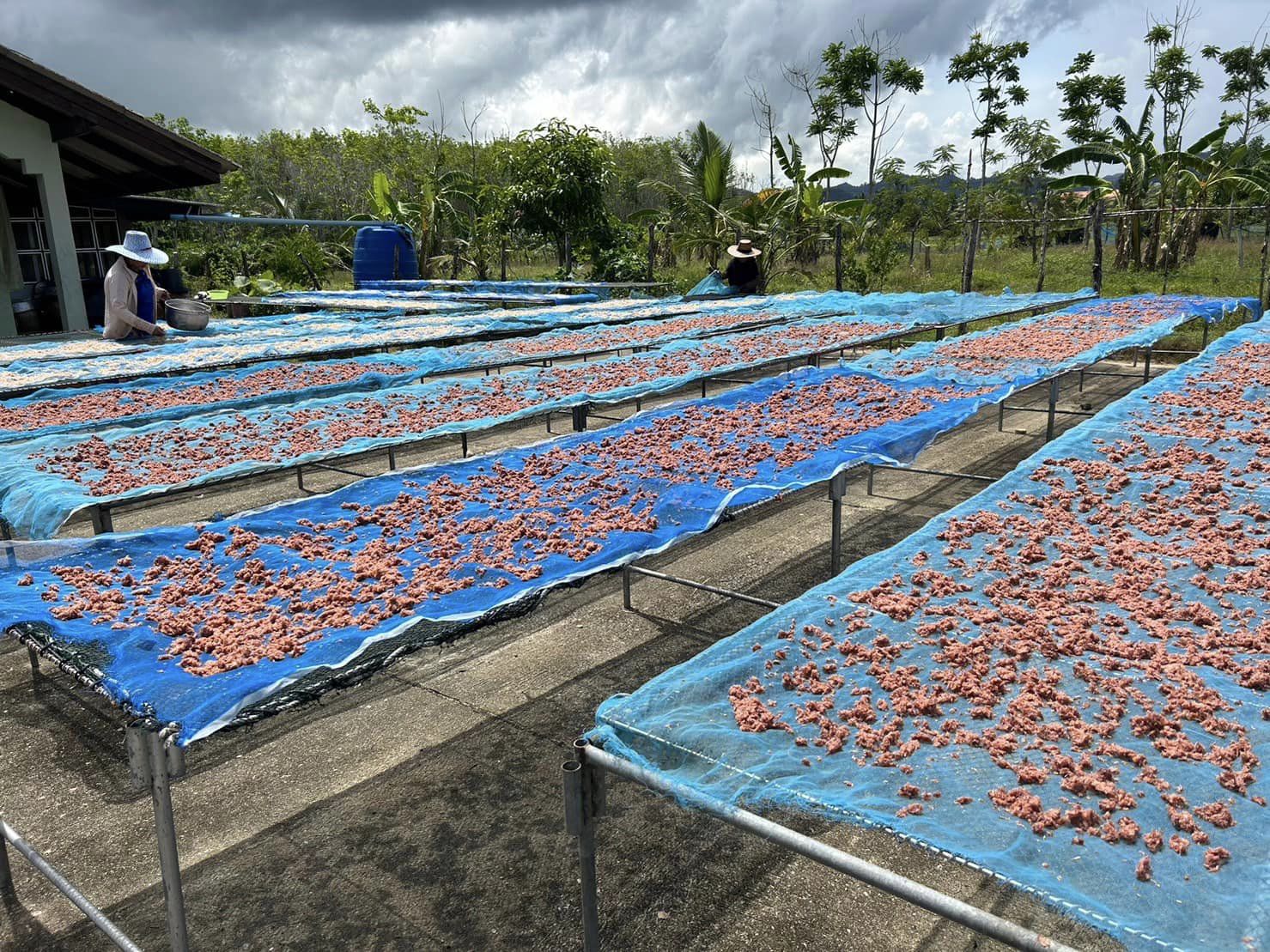 สำนักงานประมงจังหวัดสตูล ลงพื้นที่ตรวจเยี่ยมศูนย์จำหน่ายสินค้าแปรรูปอาหารทะเล ตามโครงการ Firsherman  Market & Shop สาขา 1 เขตพื้นที่ตำบลขอนคลาน และสาขา 2 เขตพื้นที่ตำบลทุ่งหว้า อำเภอทุ่งหว้า จังหวัดสตูล